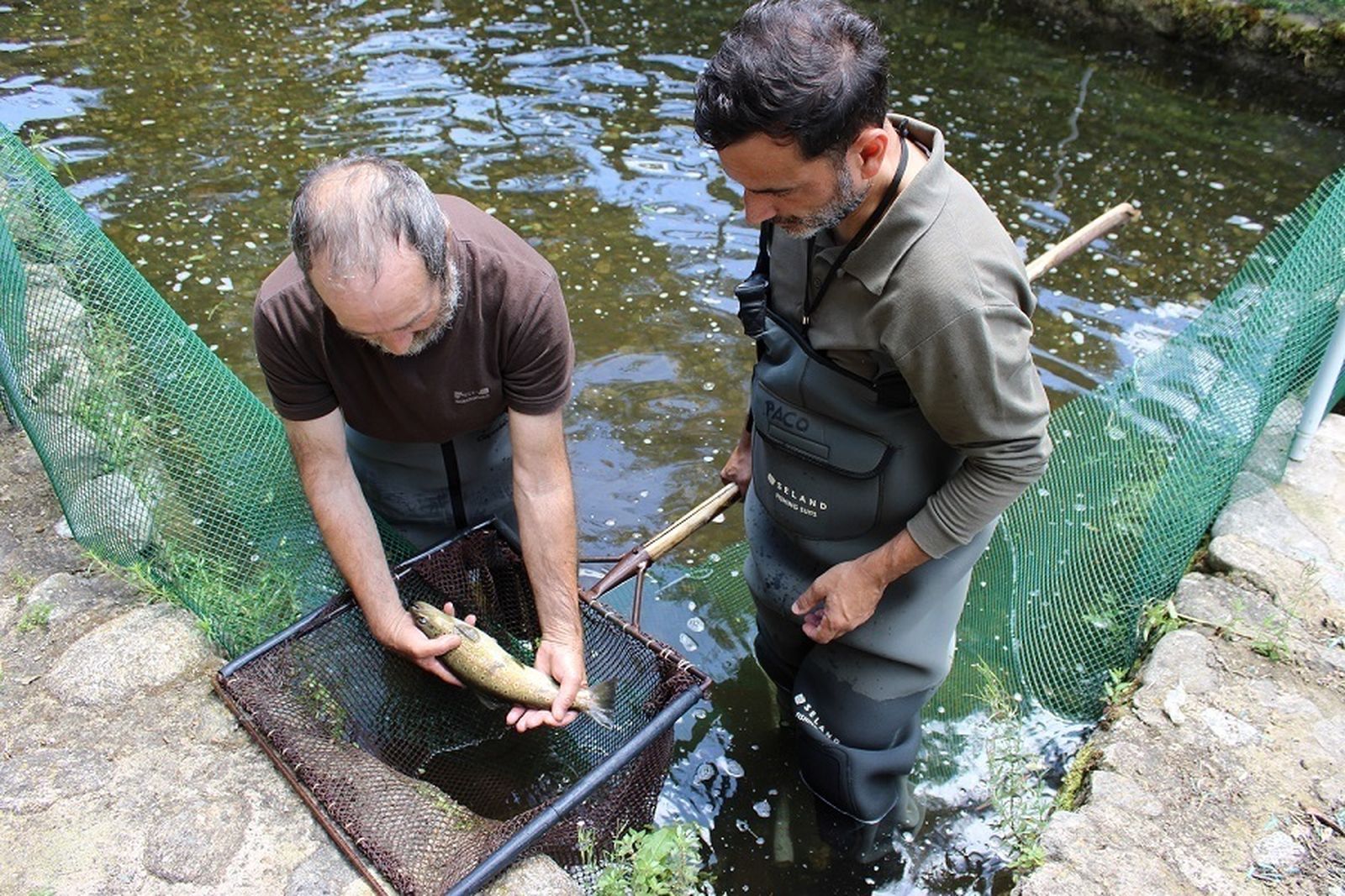 Dos trabajadores del Centro de Salmónidos del Jerte con un salmón en la instalación