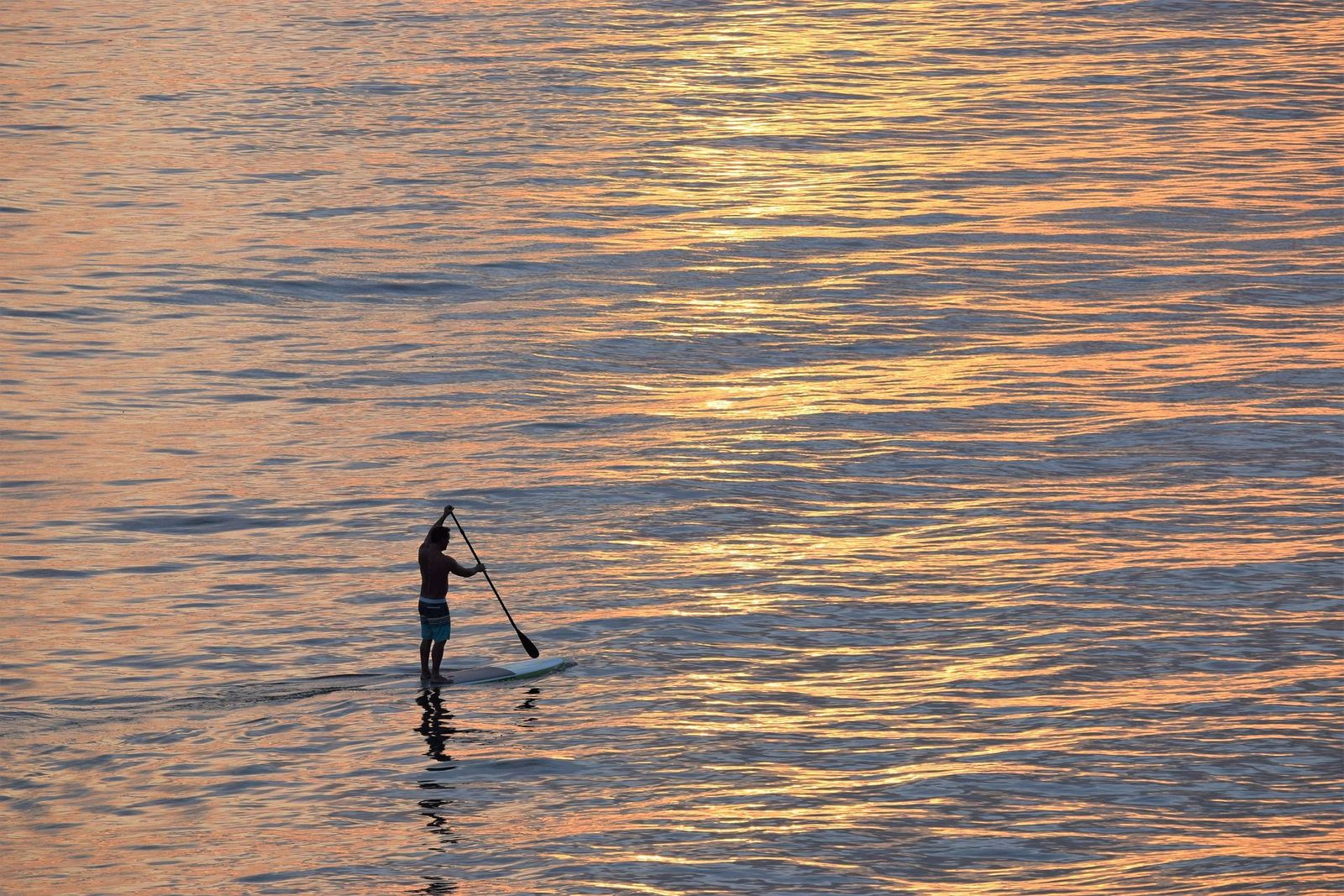 Hacer paddle surf en Madrid