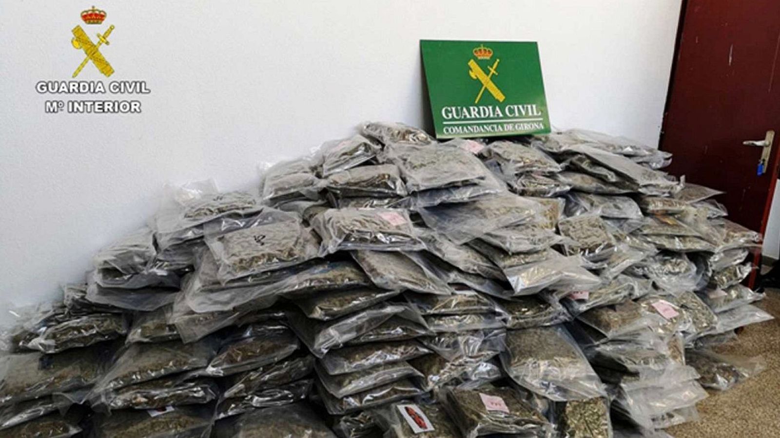 La Policía incauta una plantación de marihuana por accidente