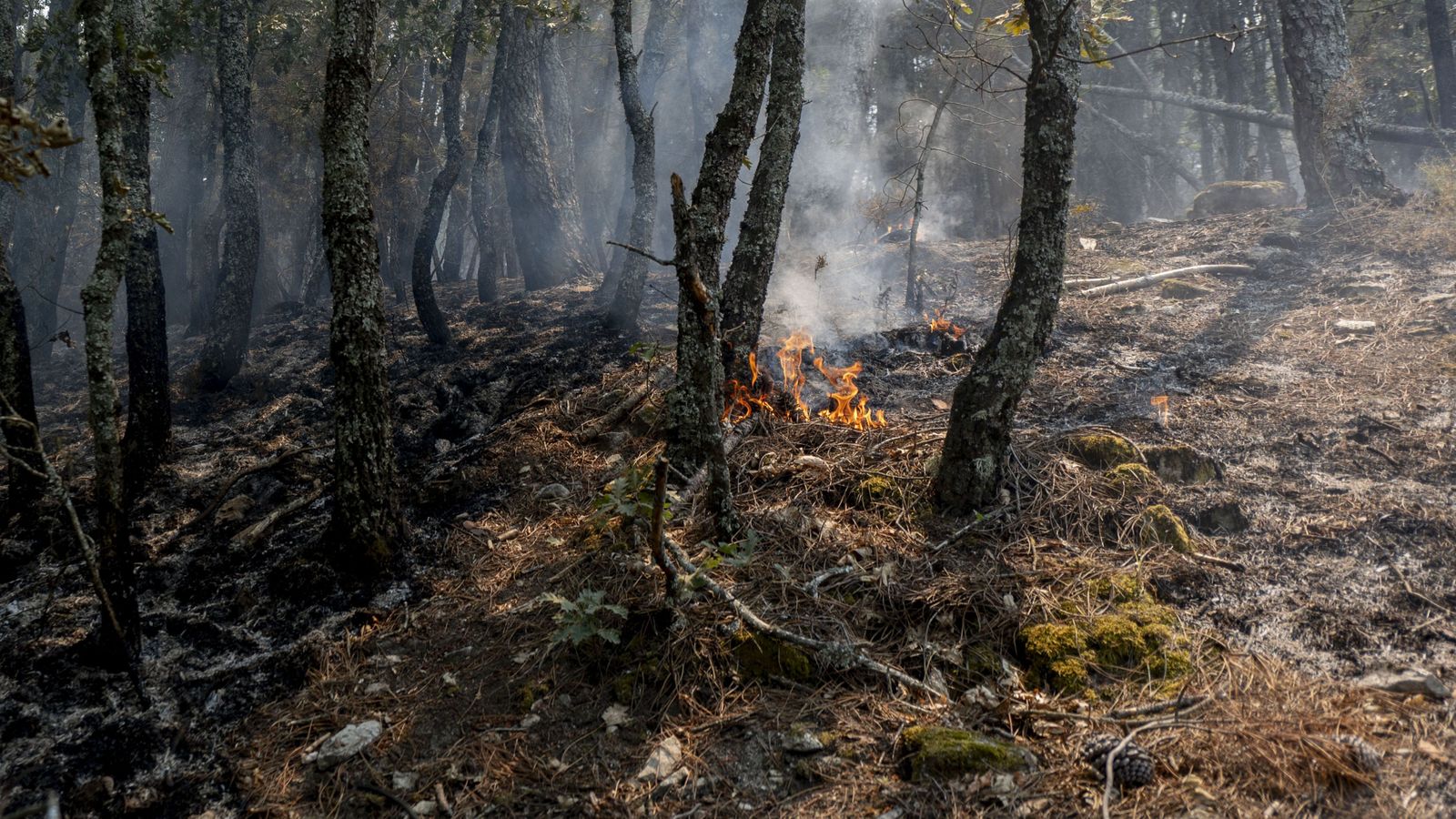 El incendio de la Sierra Oeste está estabilizado