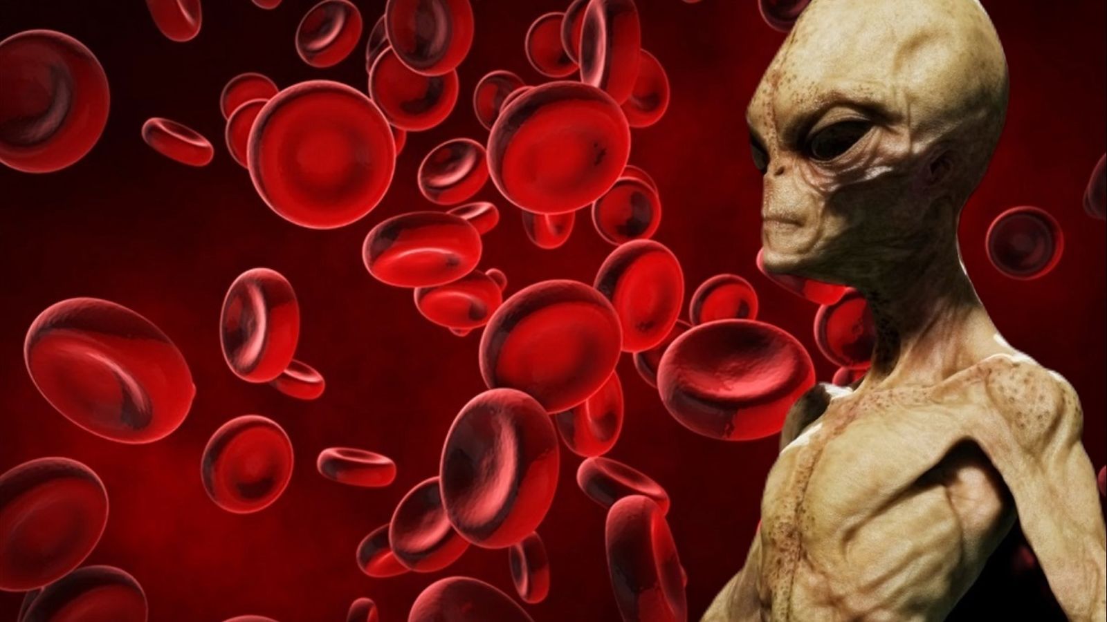 Glóbulos rojos