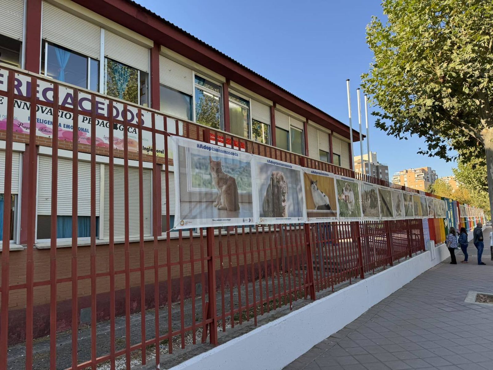 Fotos de perros y gatos en el exterior de un colegio de Fuenlabrada