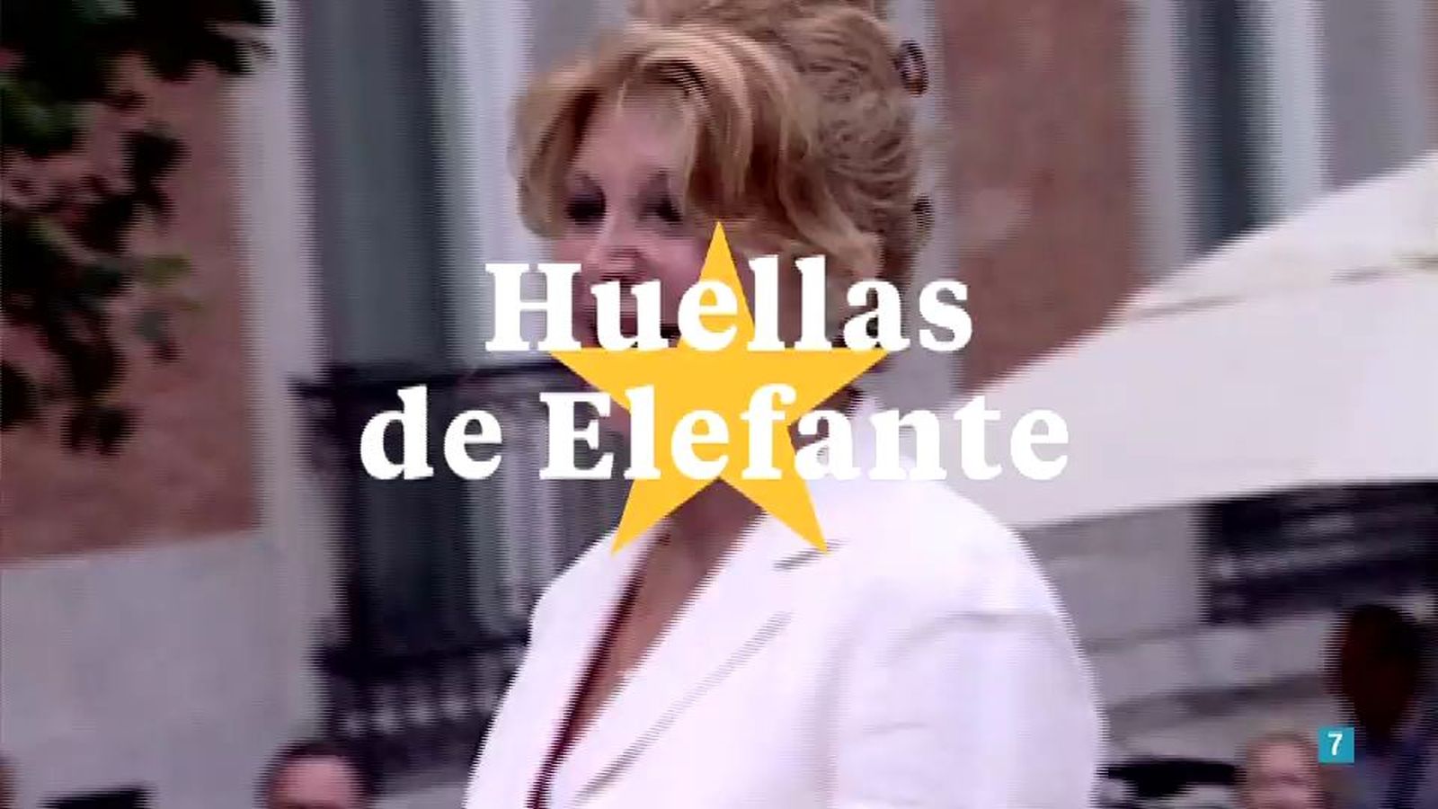 Tita Cervera, protagonista de Huellas de Elefante