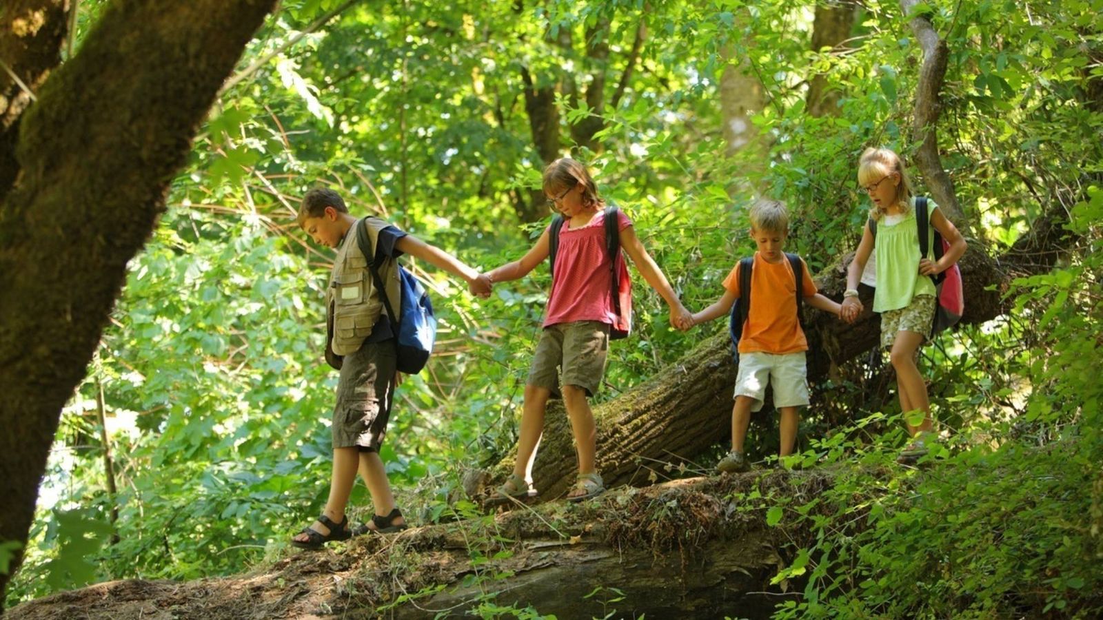 Niños recorriendo una ruta de senderismo