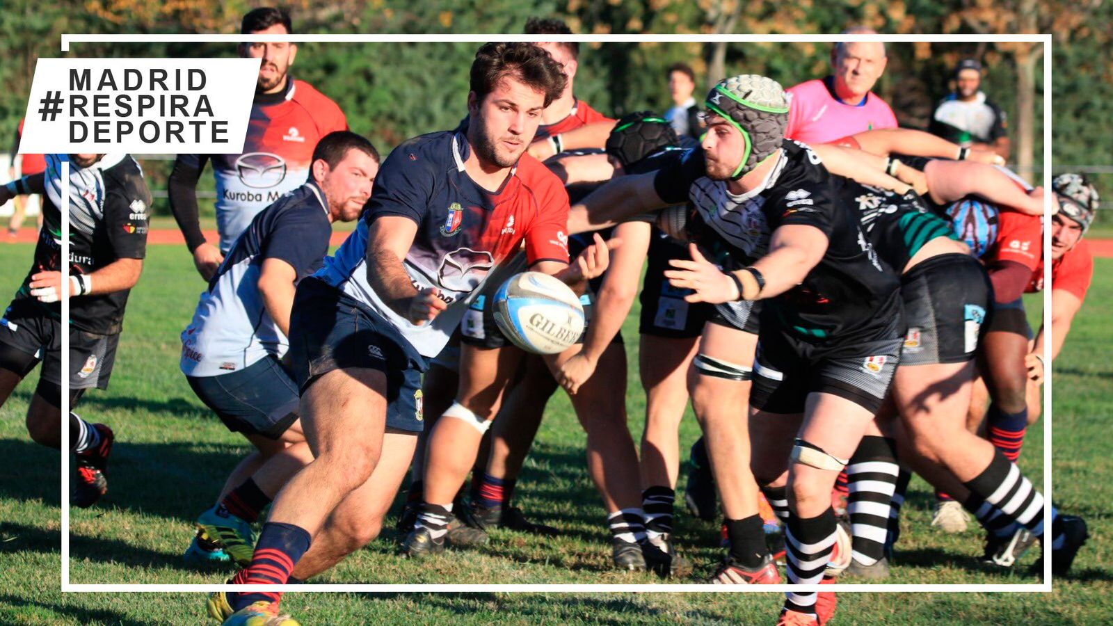 Rugby Majadahonda