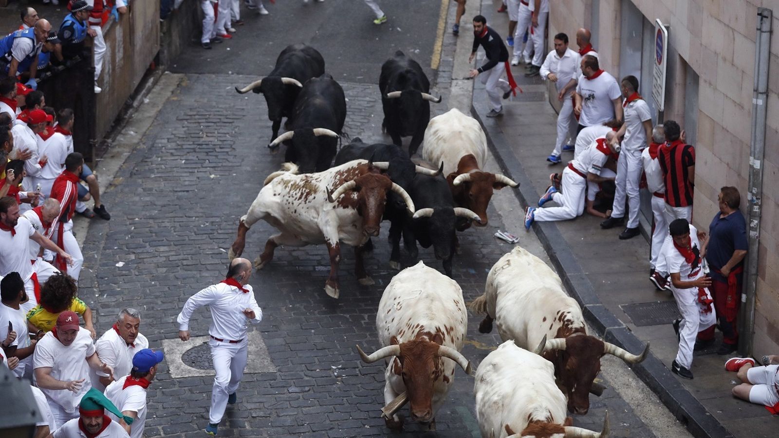 Toros por las calles de Pamplona en San Fermín