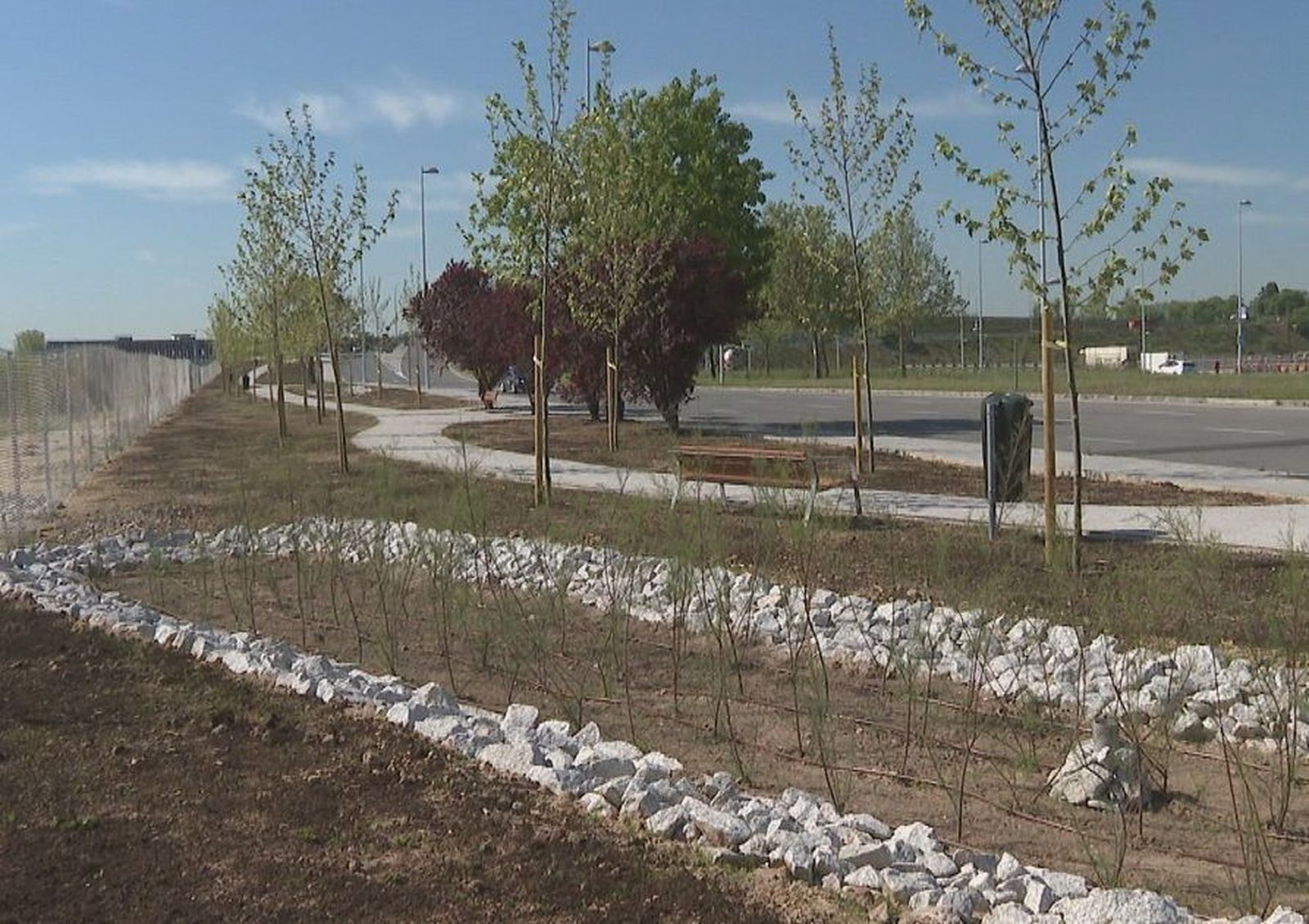 El entorno de la Ciudad Deportiva del Real Madrid suma más de 240 árboles y nuevo mobiliario tras las obras de mejora