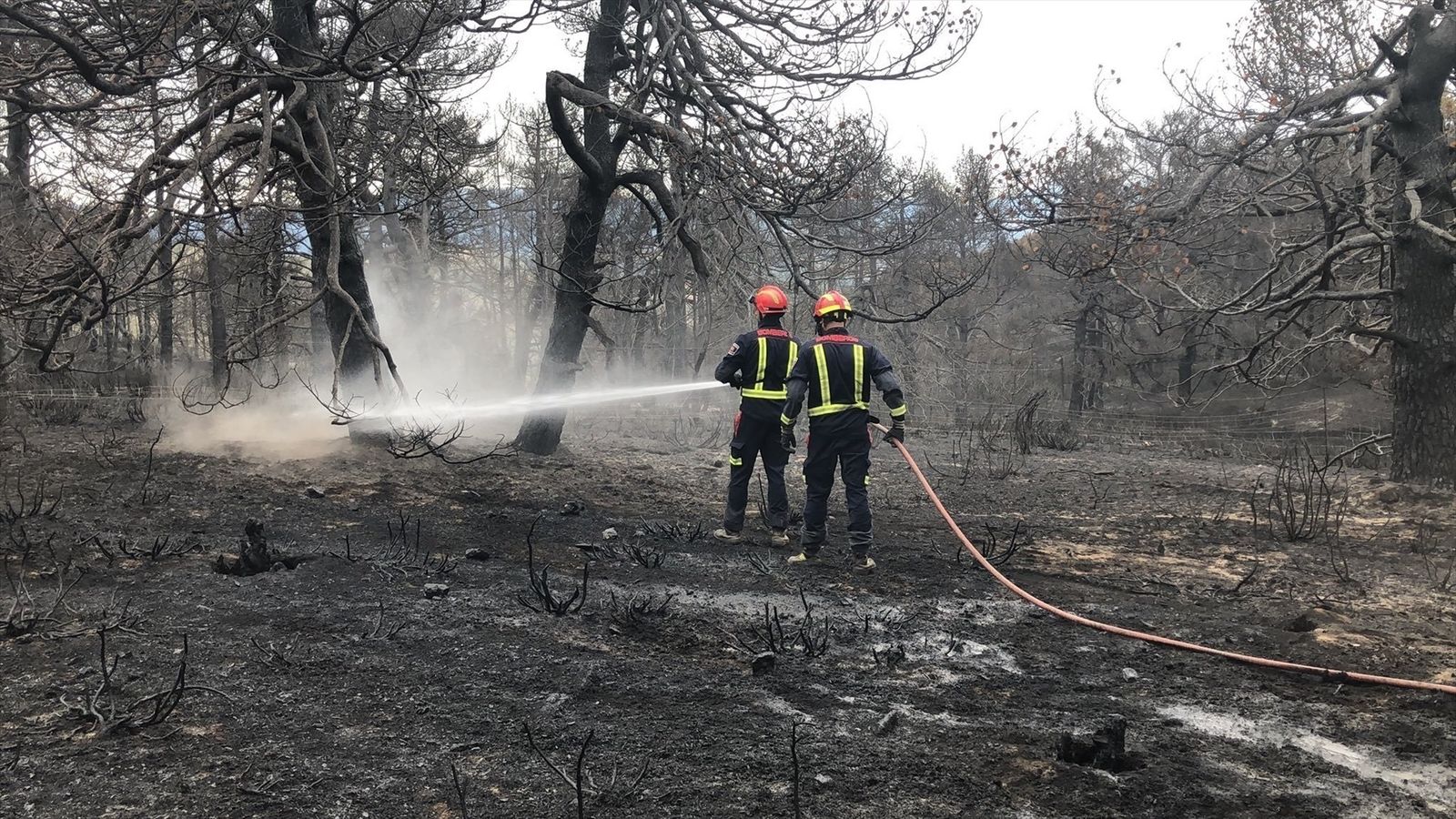 Labores de extinción de incendios forestales