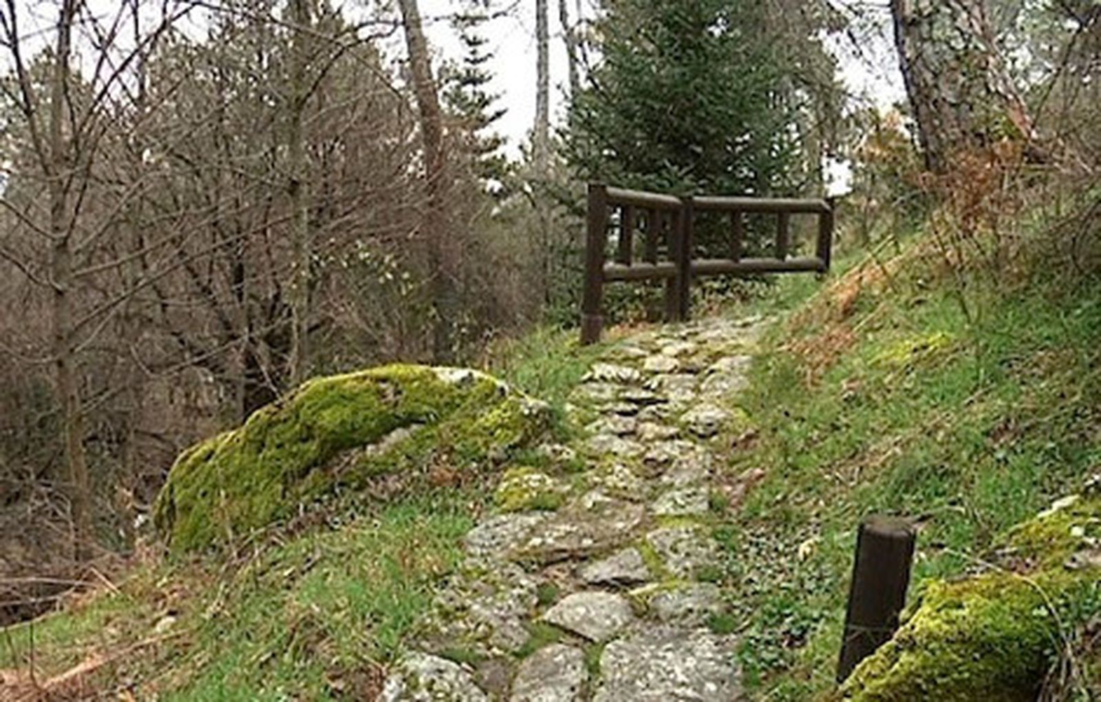 Arboreto Luis Ceballos