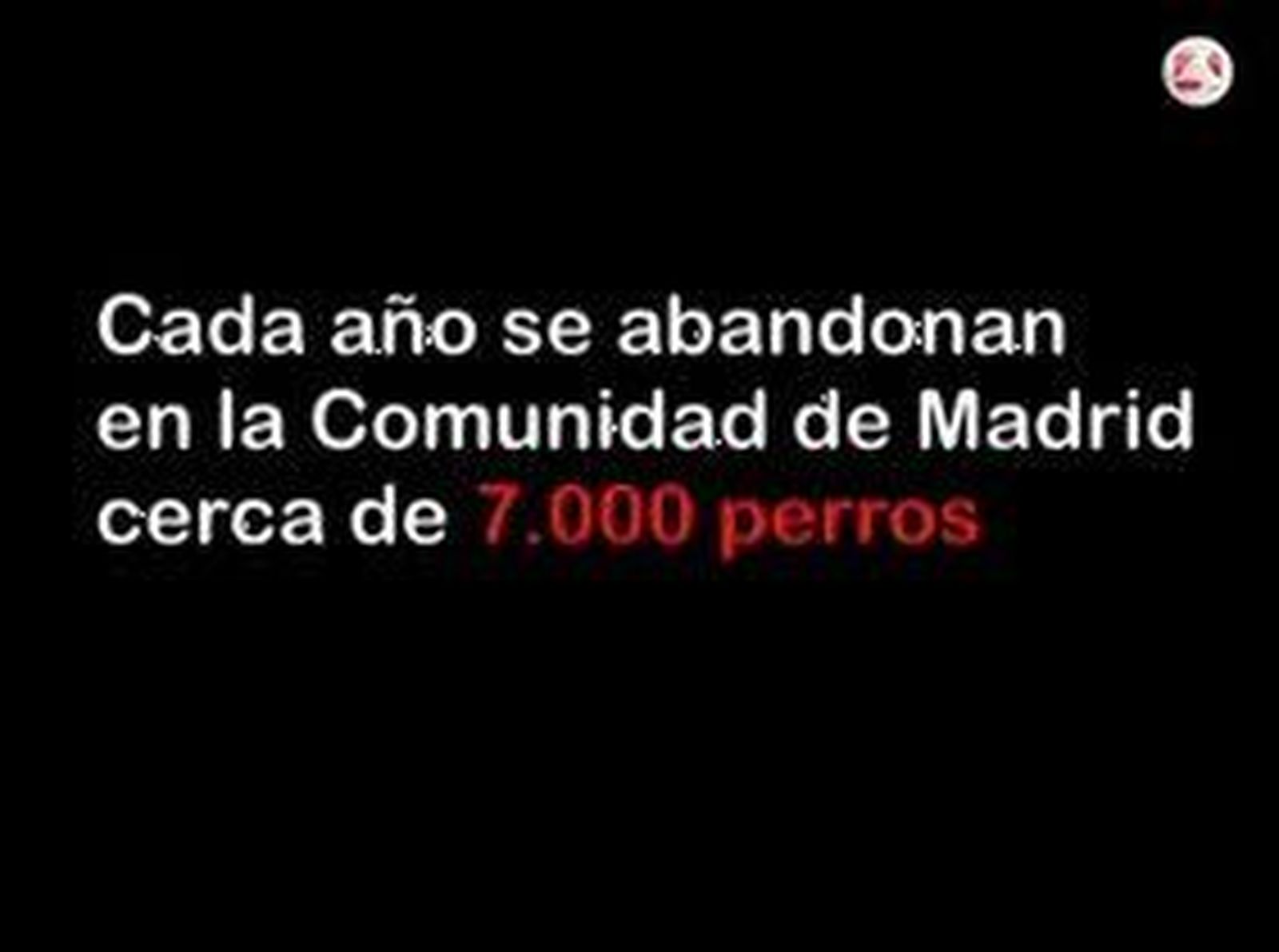 Cada año se abandonan en la región cerca de 7.000 perros