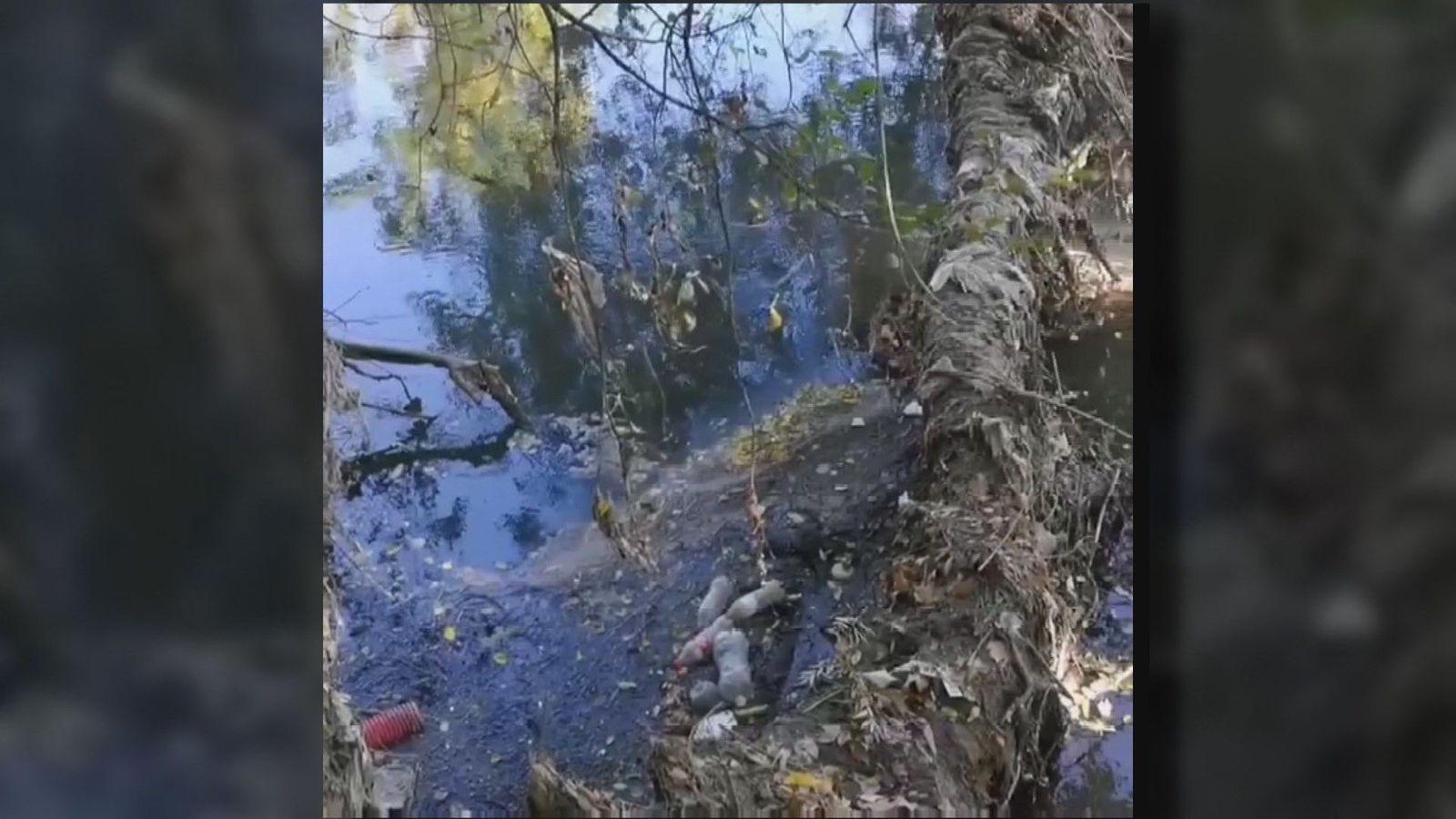 Los vecinos de San Fernando de Henares denuncian una década de vertidos en el Río Jarama