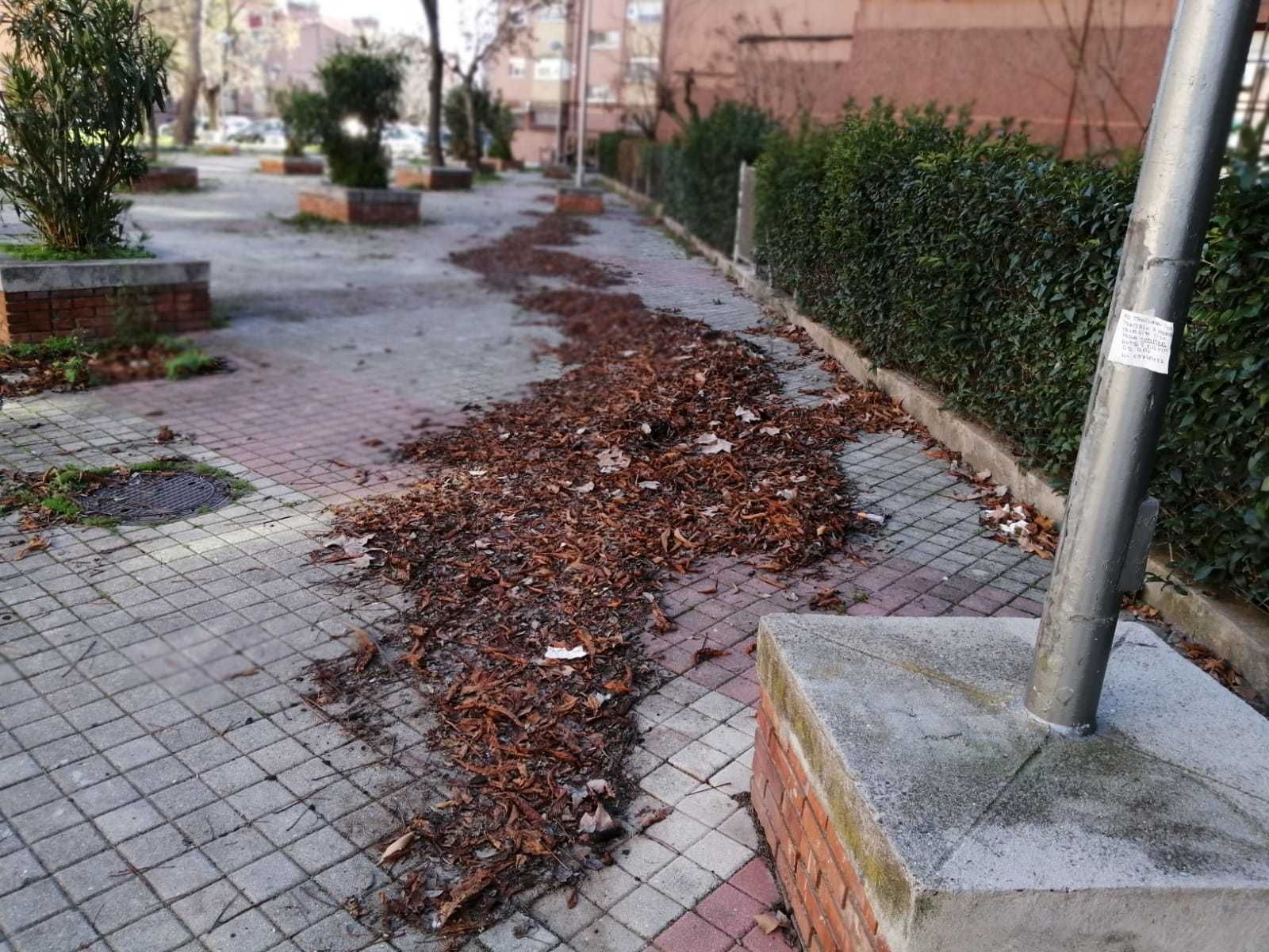Estado de una de las zonas interbloque de San Blas