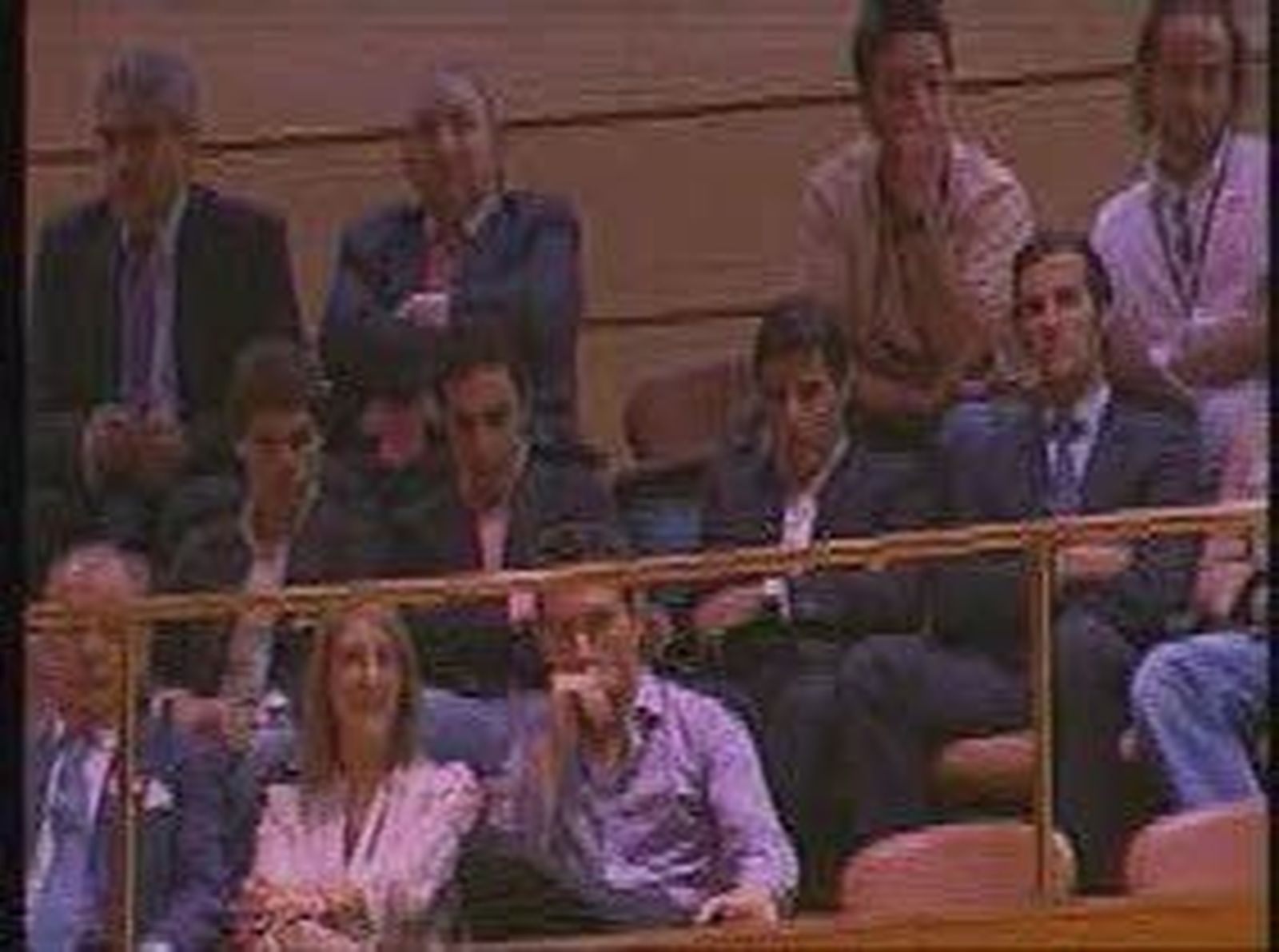 Toros y la cultura