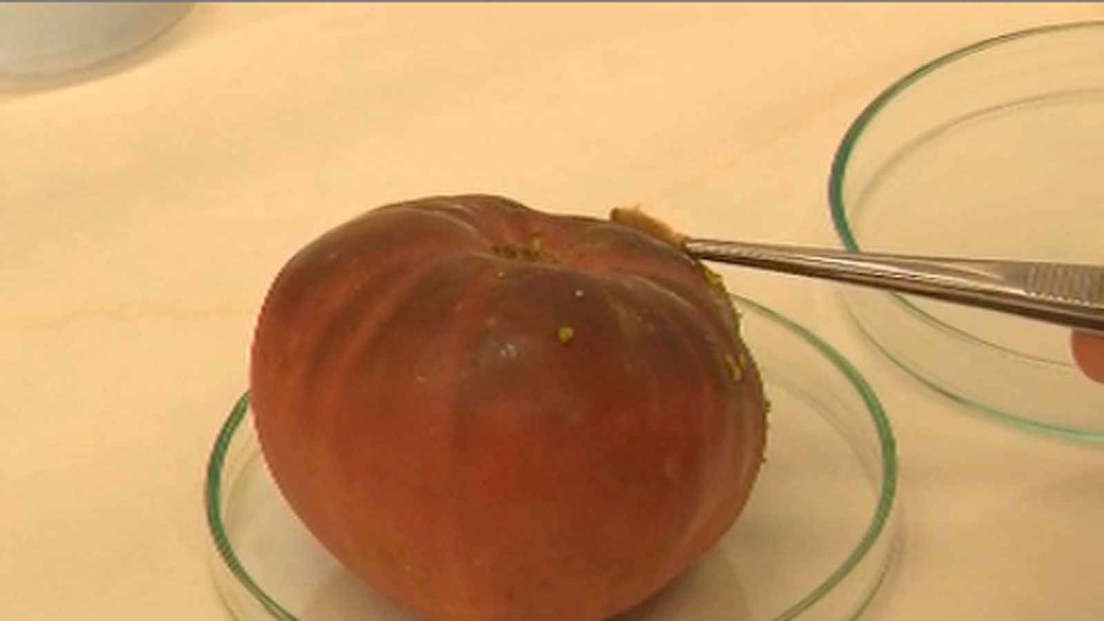 Cocineros y científicos promocionan en unas jornadas los productos madrileños