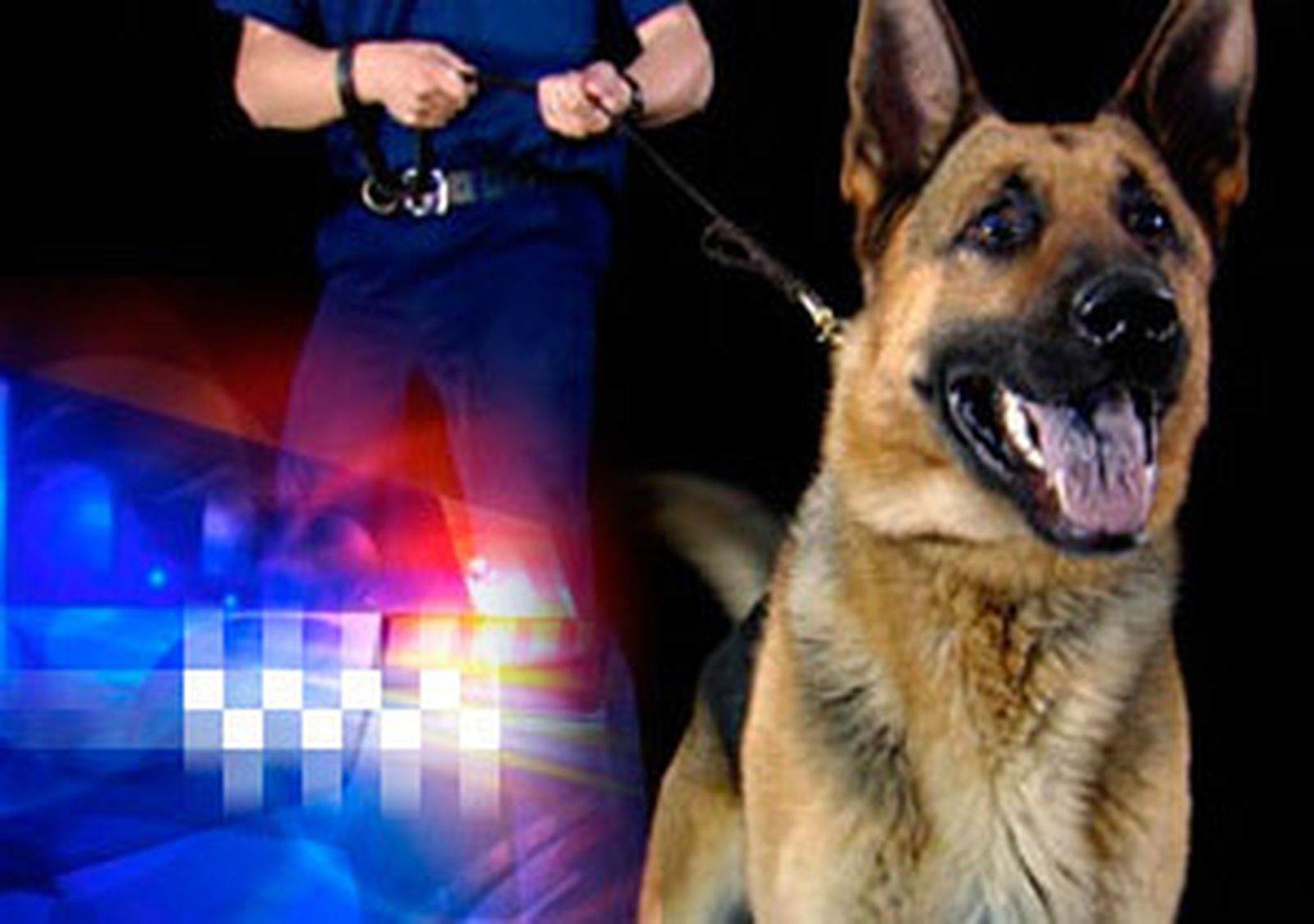 Destacado perros policía