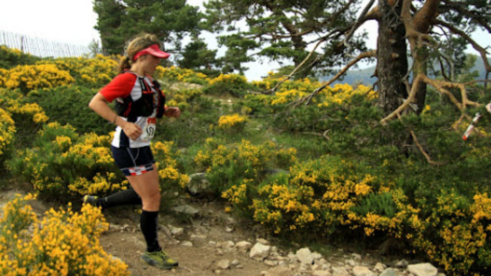Maratón Alpino