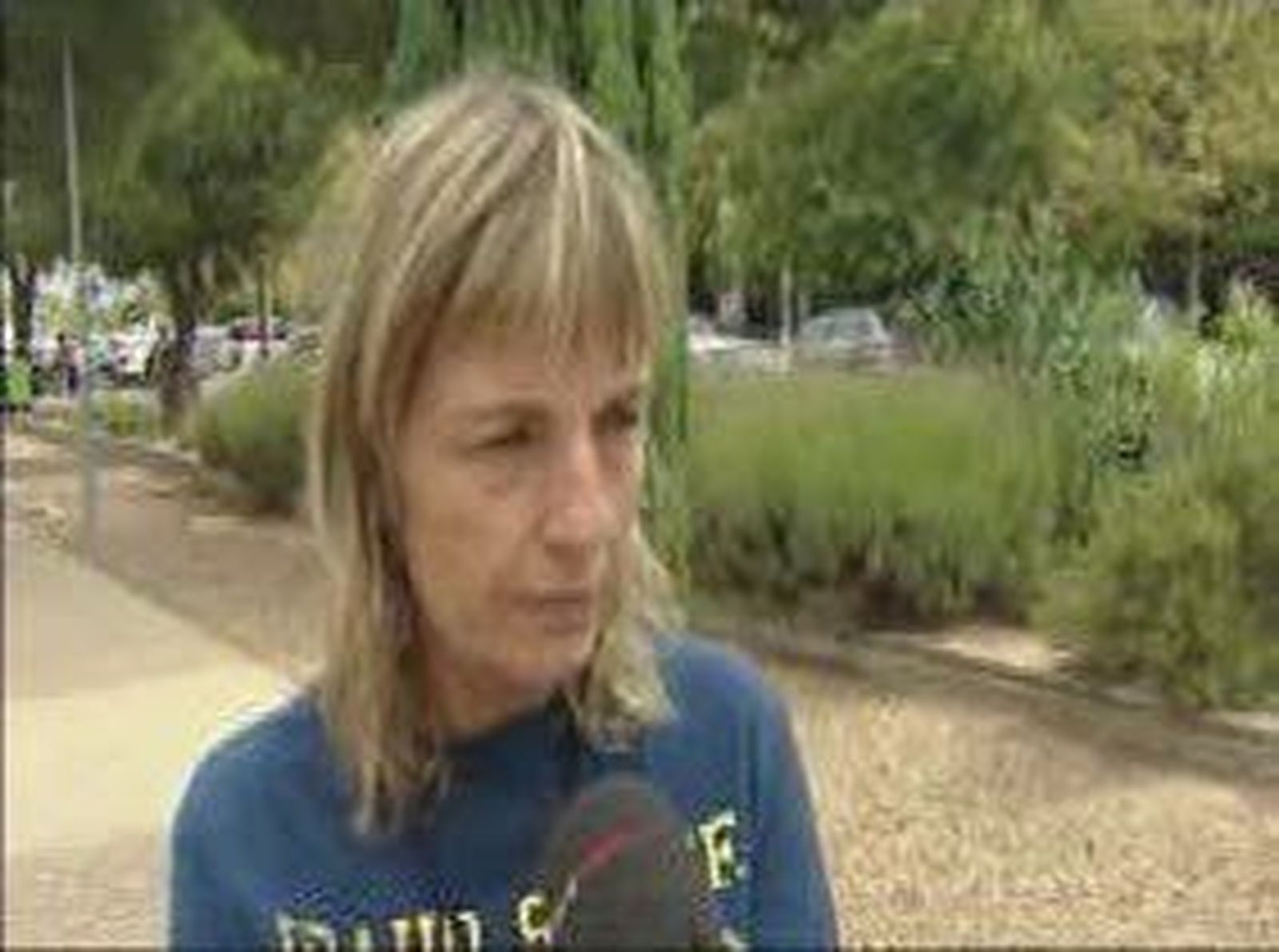 reaxpuentes_2011107V0.wmv