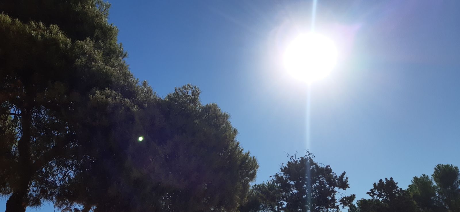 Cielo despejado y sol brillante sobre un parque de Madrid