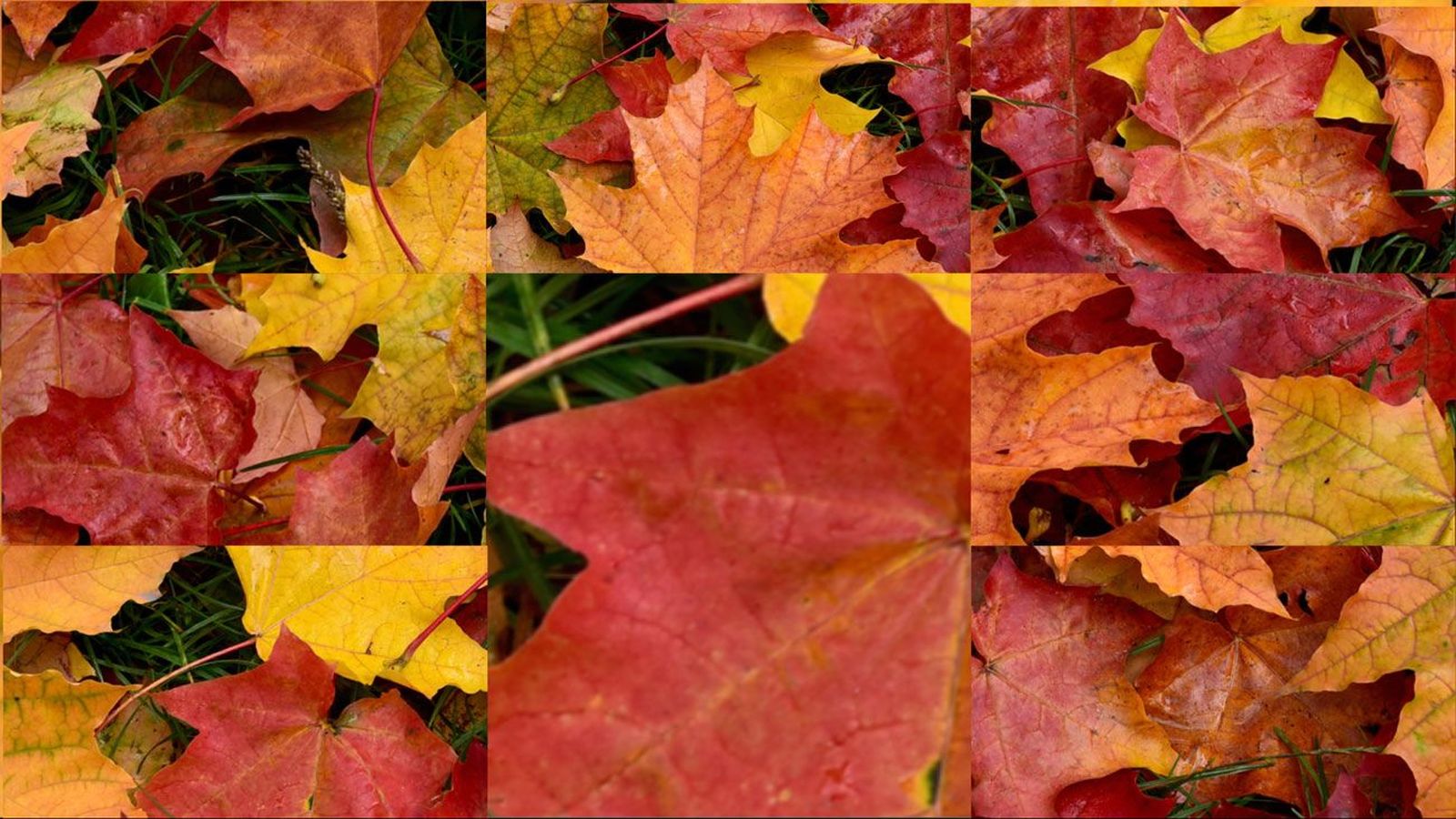 Este otoño será algo más cálido de lo normal en Madrid