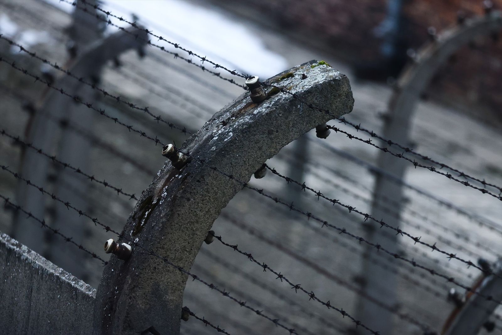 Holocausto en Auschwitz