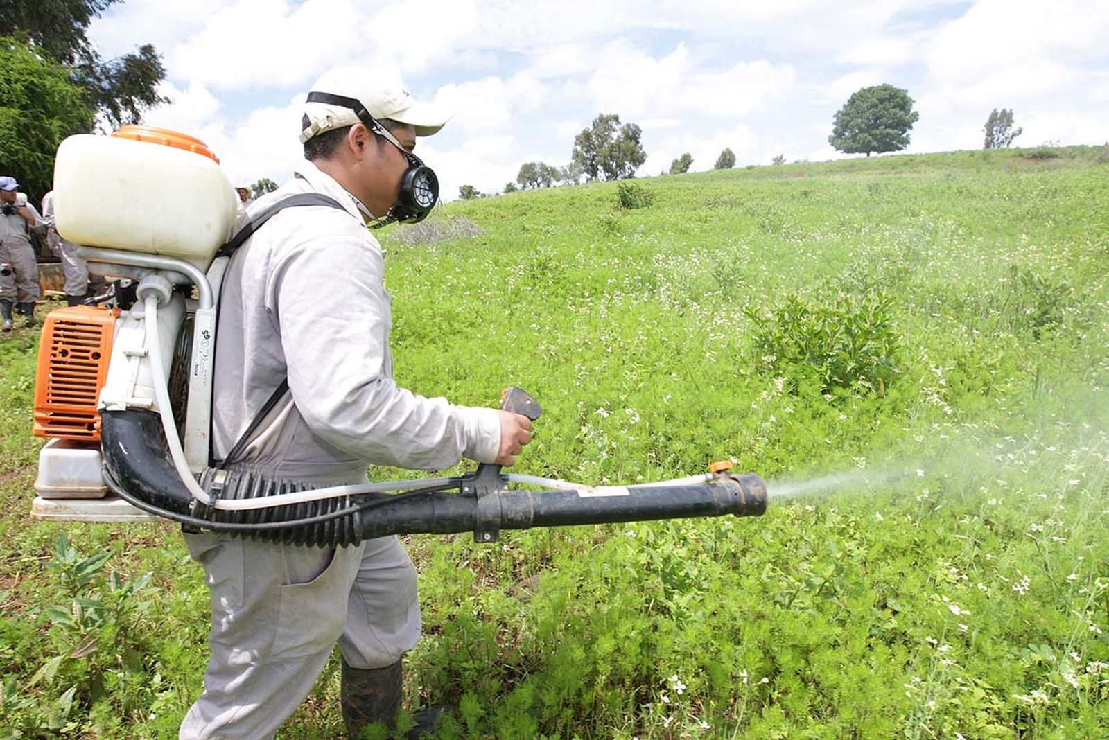 Labores de fumigación en terrenos de cultivo
