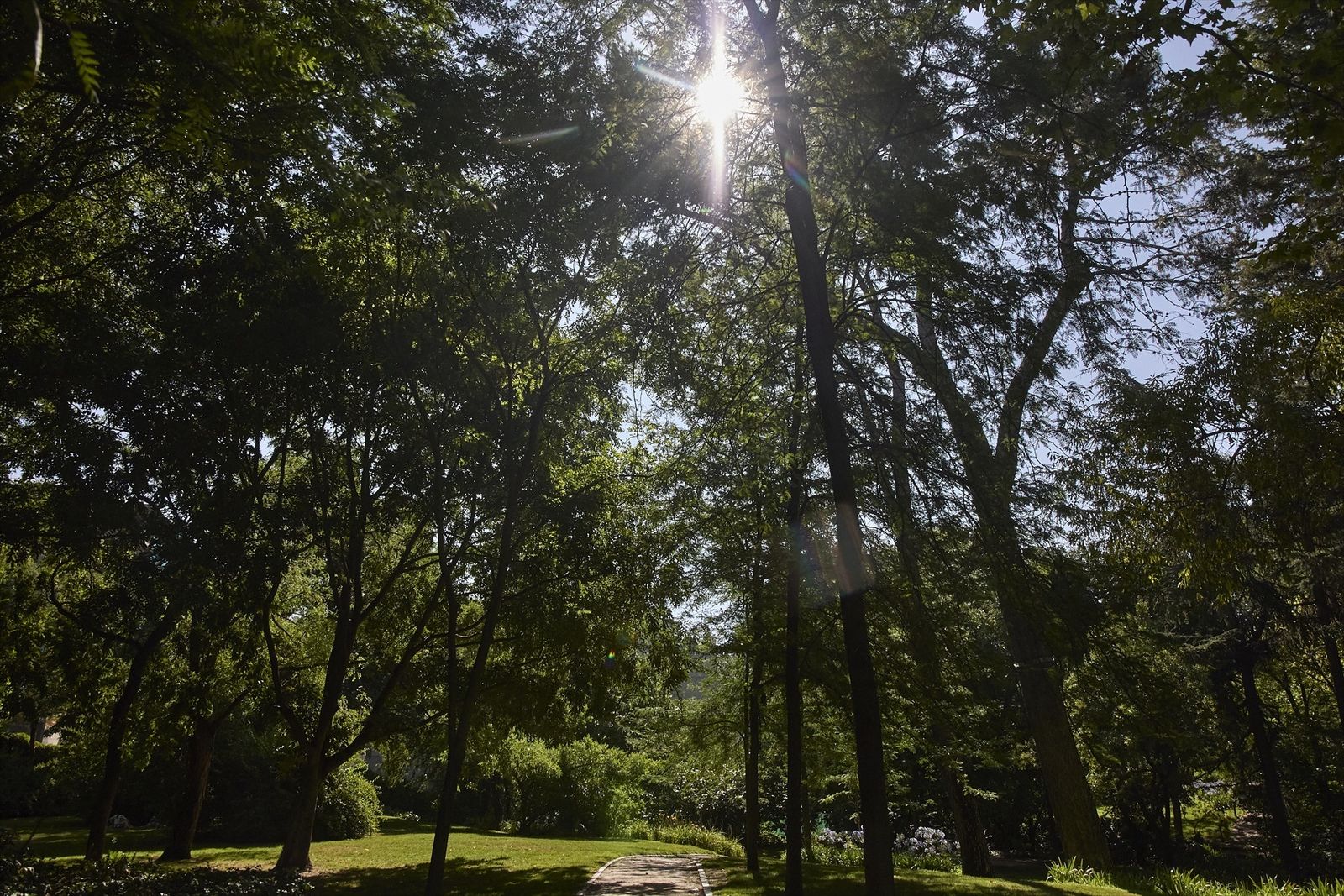 El parque del Retiro