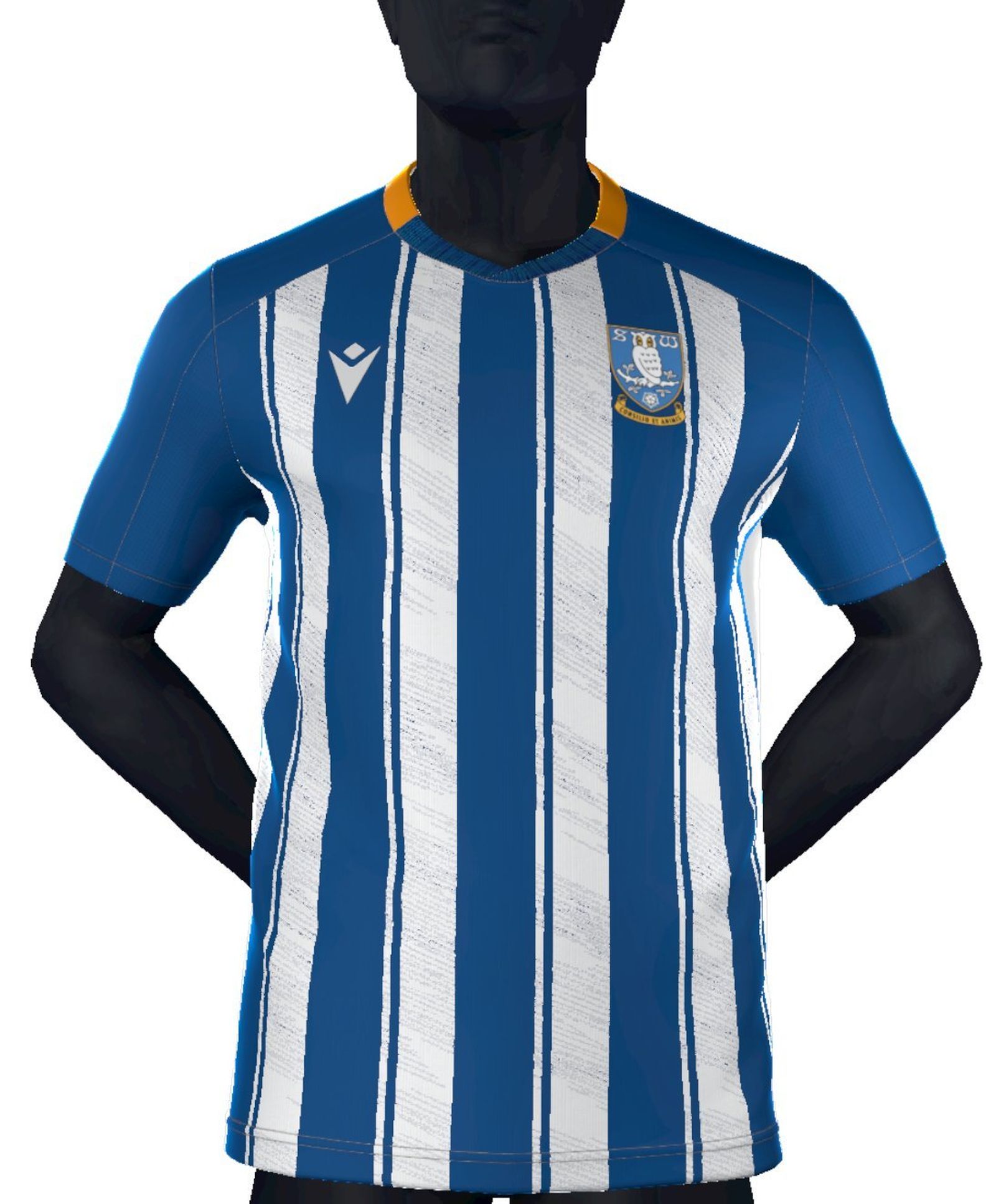 Equipación Sheffield Wednesday