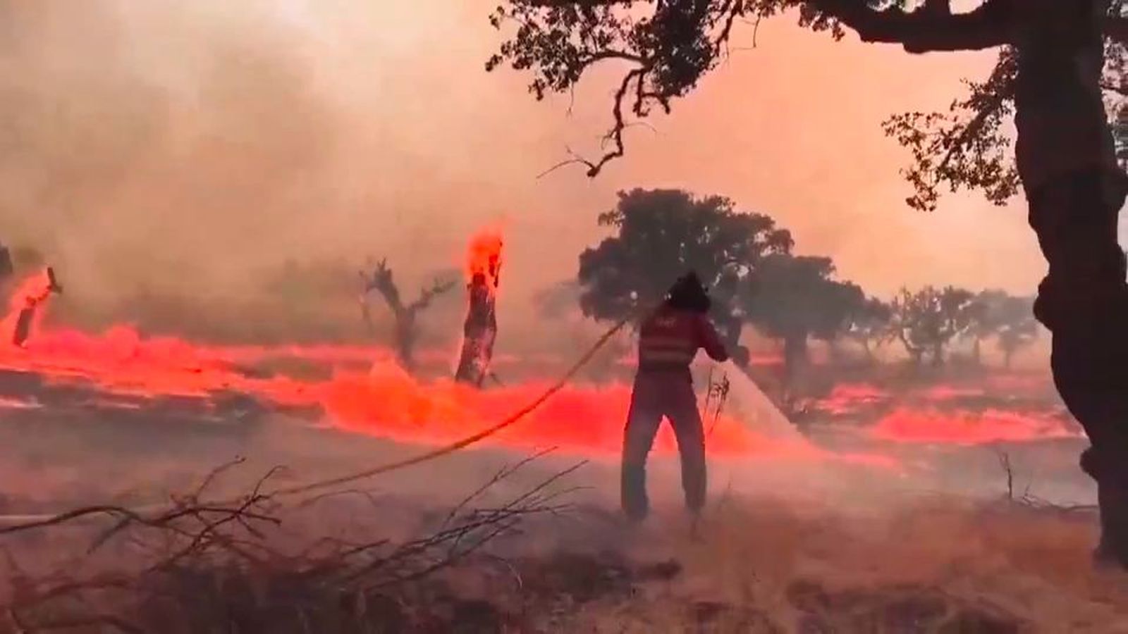 Extremadura, el "megaincendio" en Jarilla sigue fuera de control