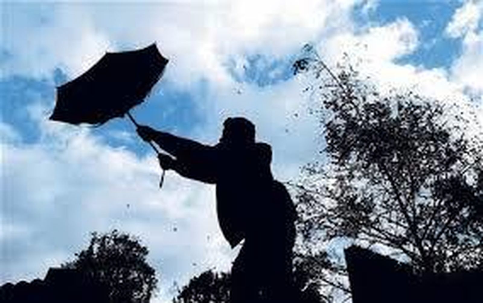 Viento