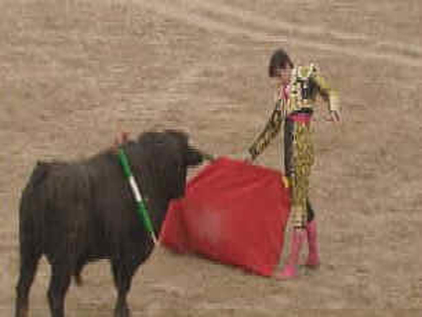 toros30