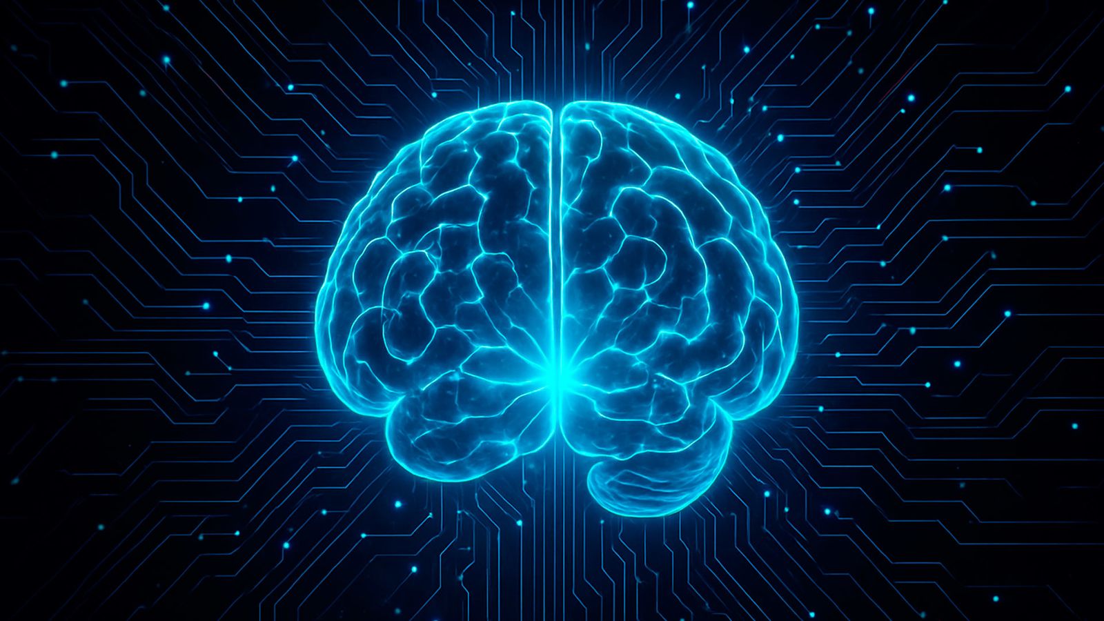 Cerebro digital