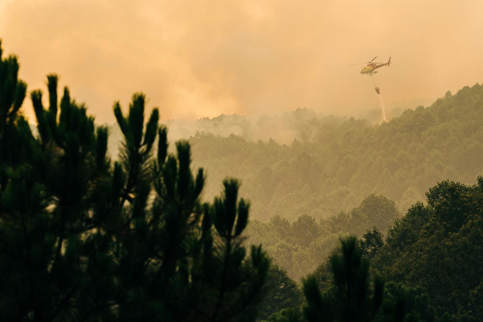El incendio de Santa Cruz del Valle, en Ávila, avanza sin control y Madrid envía ayuda