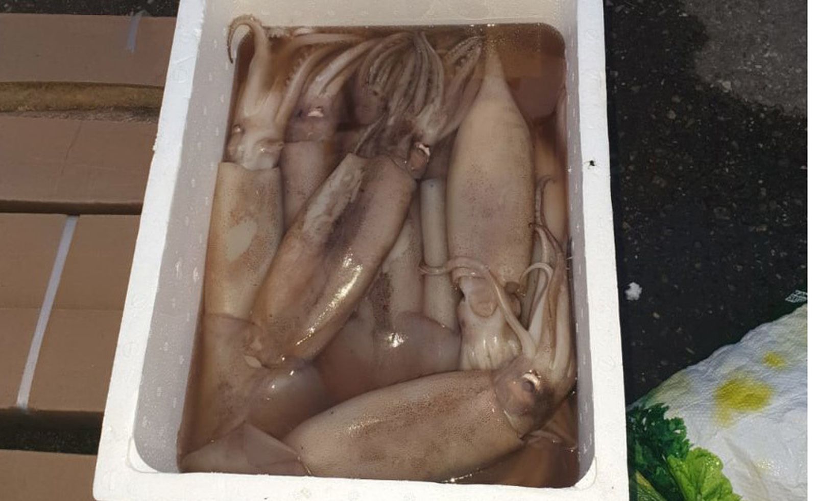 Pescado congelado