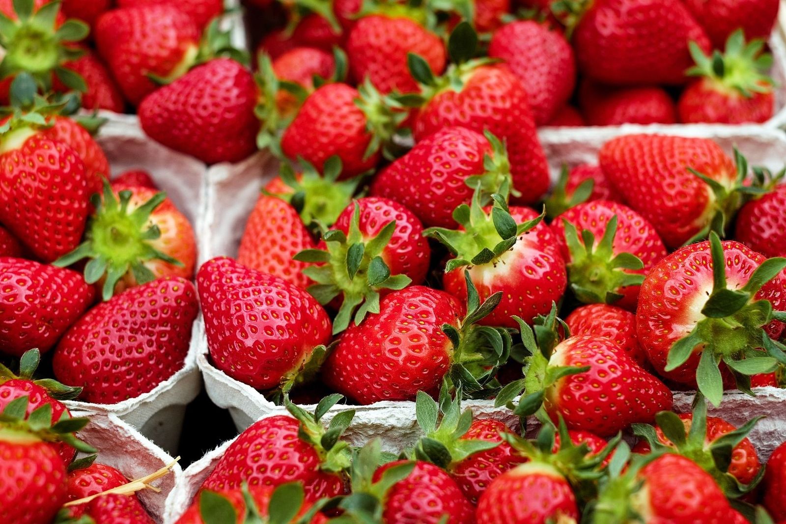 Expertos en seguridad alimentaria sobre las fresas contaminadas: “Nuestra tarea es controlarlo en la frontera y que no llegue al consumidor"