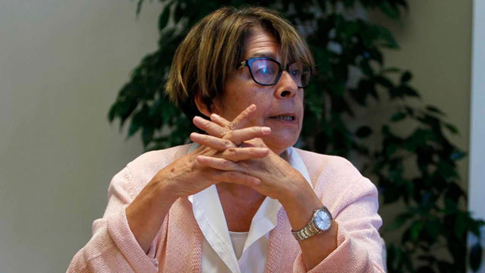 Inés Sabanés
