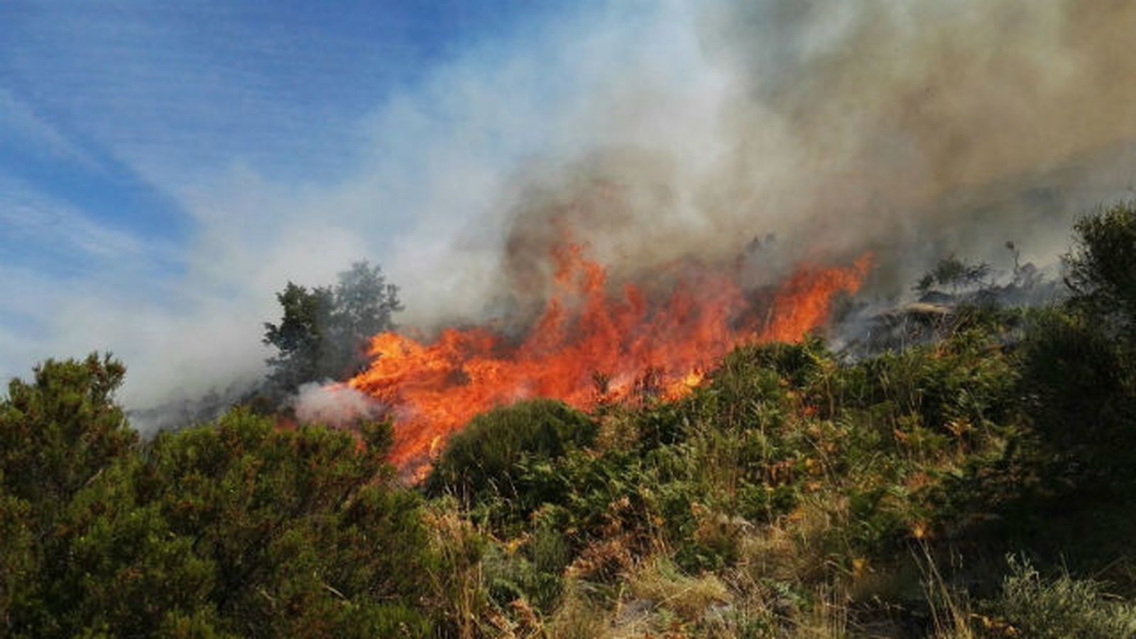 El incendio de Jerte, que se ha reactivado por el viento, ha sido provocado