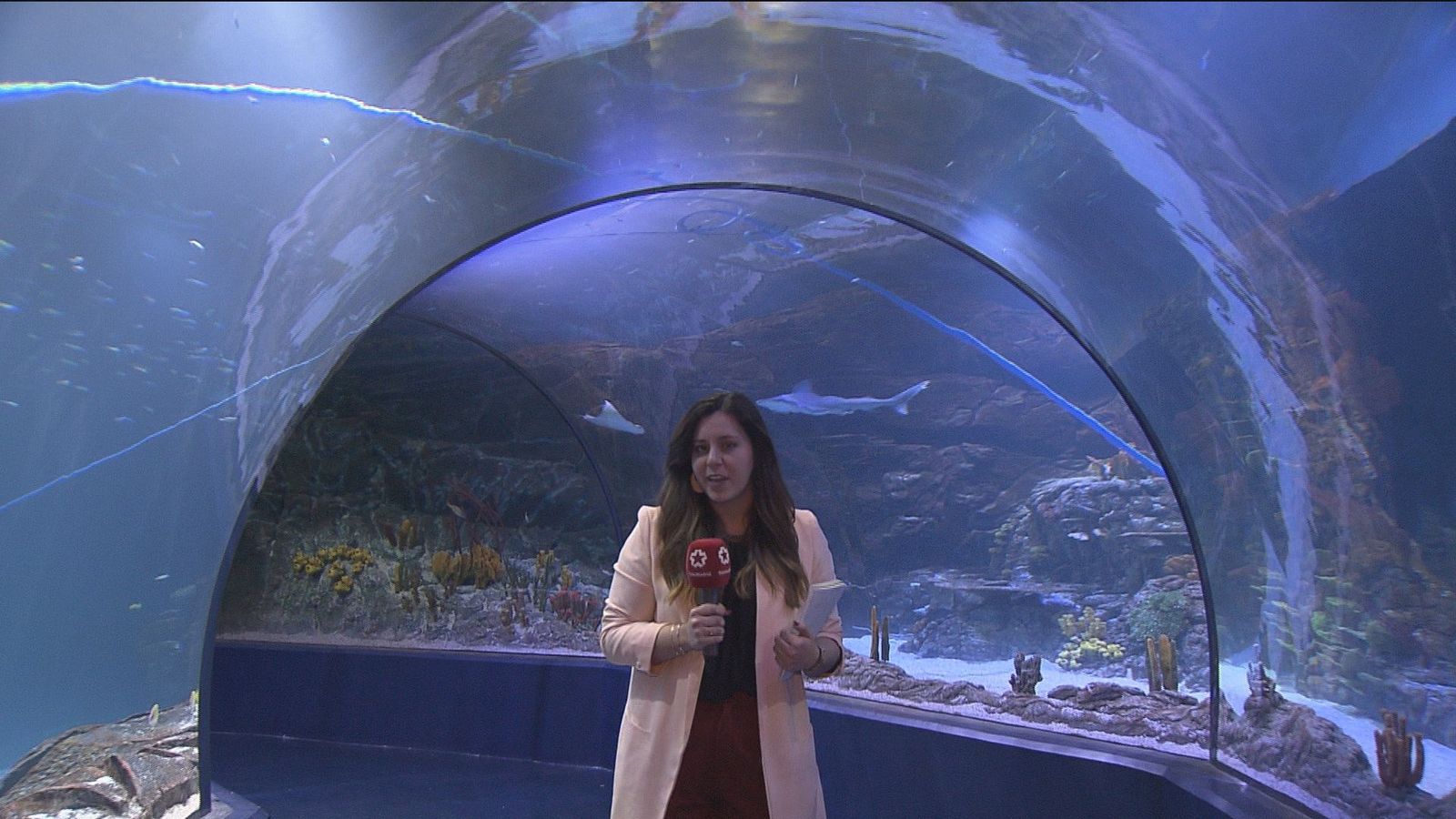Atlantis: primer acuario interactivo de Europa y con 10.000 animales marinos