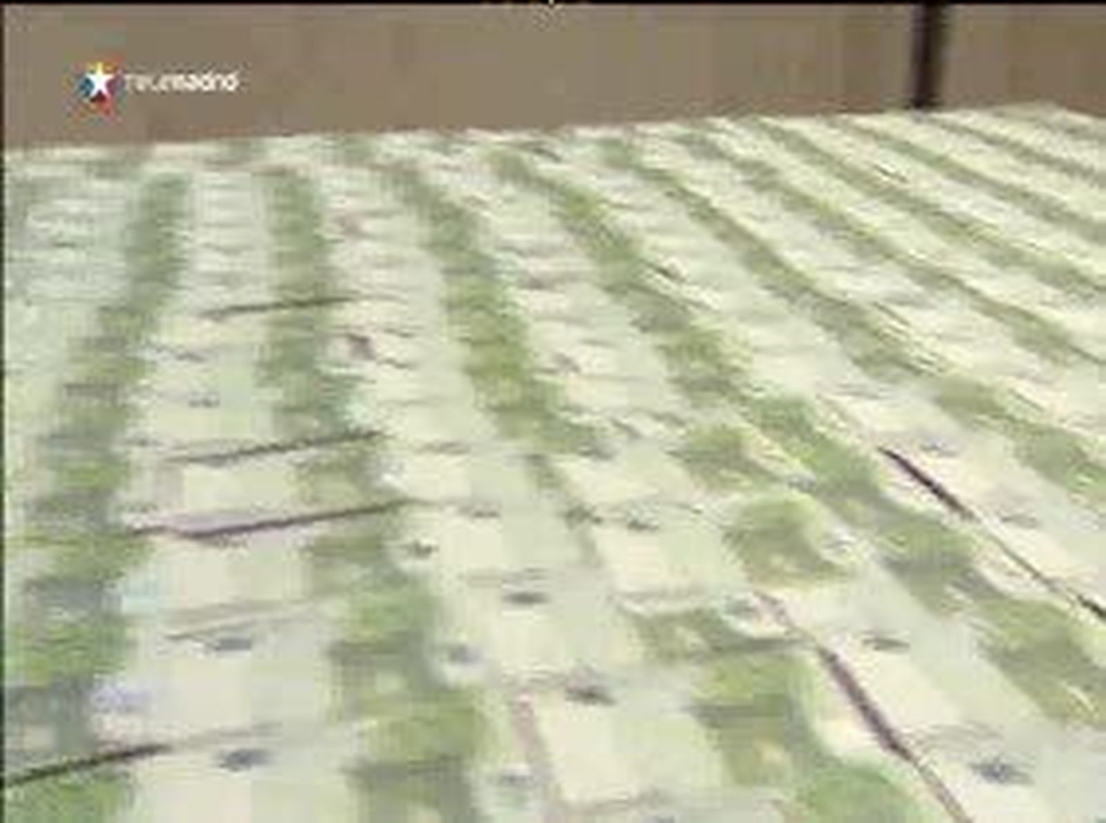 Más de 400 detenidos por falsificar billetes en los últimos tres años