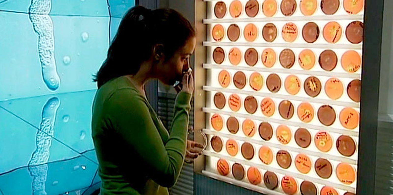 Epidemia Exposición en CosmoCaixa Madrid