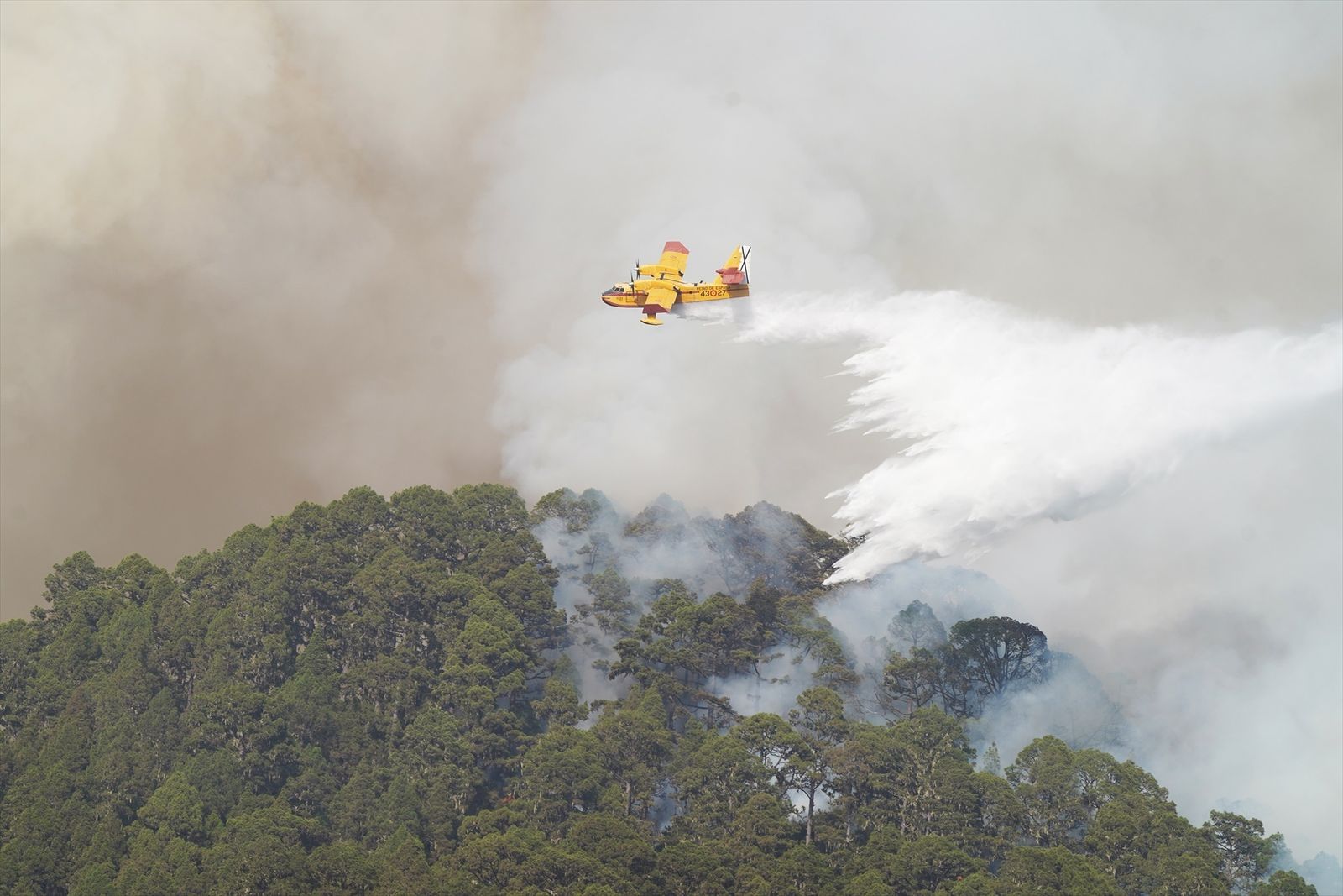 Los medios aéreos retoman las descargas contra el  incendio de Tenerife