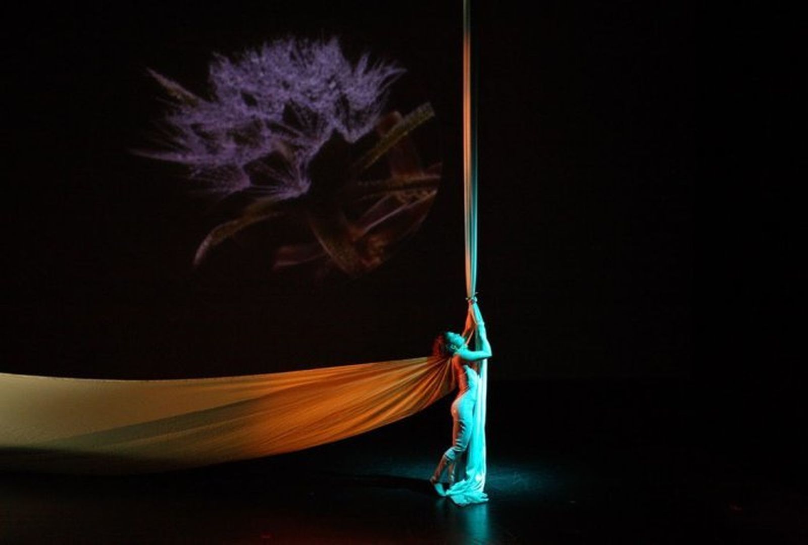 Los Teatros del Canal acogen un "jardín secreto"  los domingos de diciembre