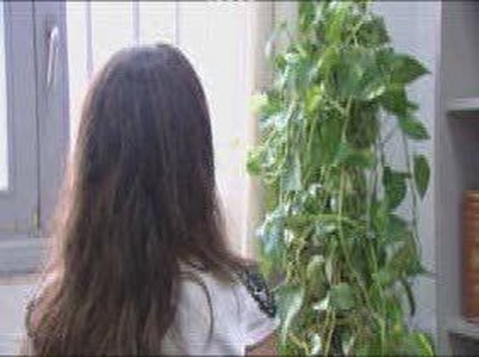 medicos_agresiones_2010916V0.wmv