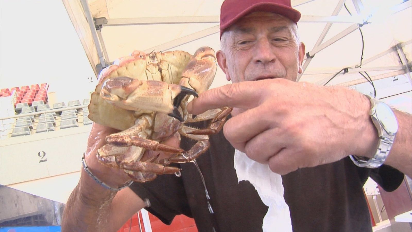 Galicia toma Las Rozas con esta deliciosa Feria del Marisco