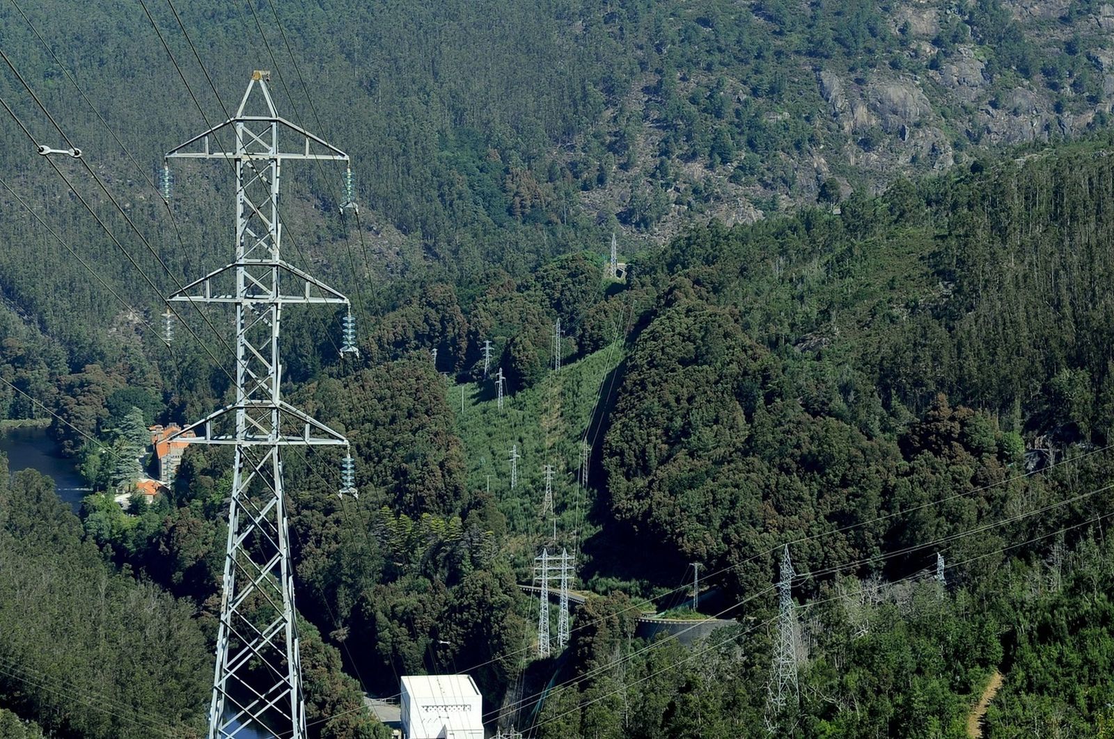 Red Eléctrica