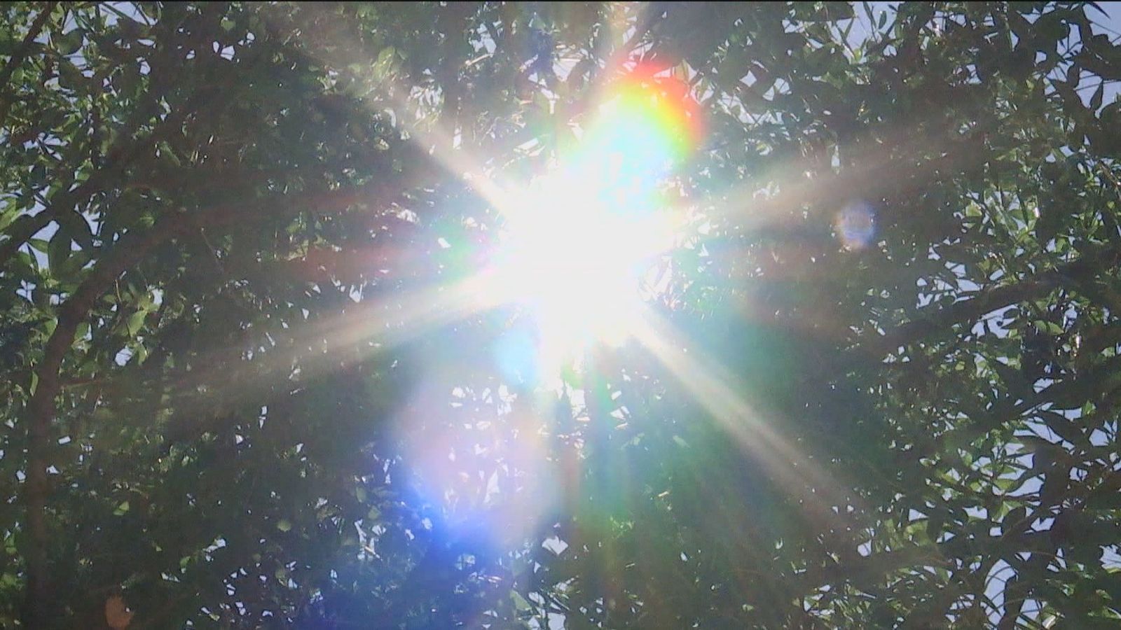 Sol y calor