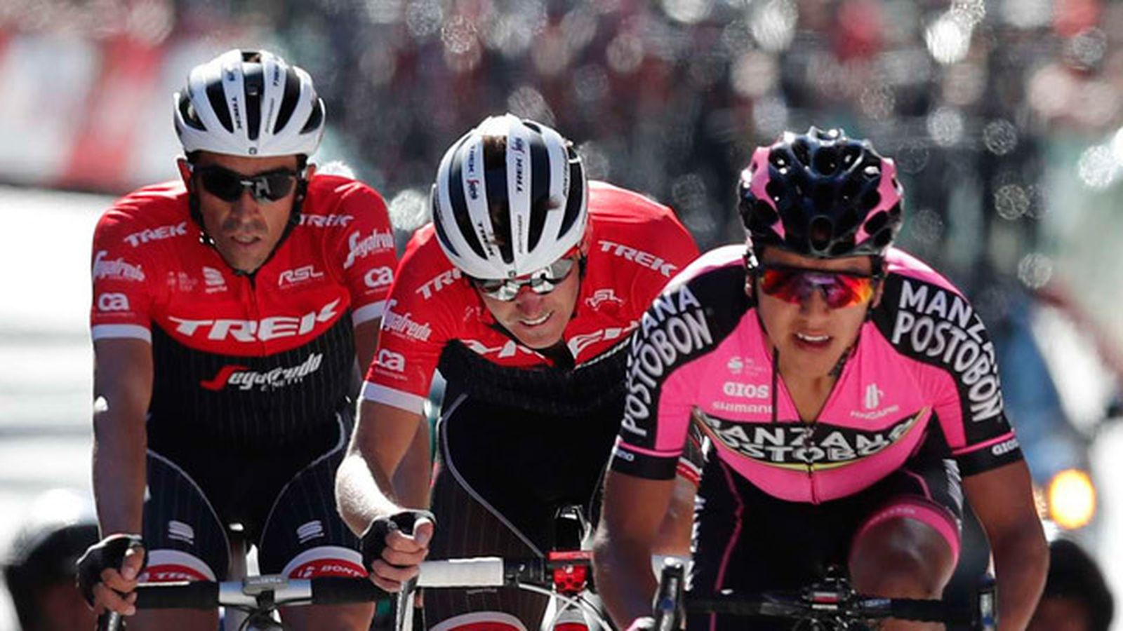 Alberto Contador, su compañero de equipo, el estadounidense, Peter Stetina, y el colombiano del equipo Manzana Postobón, a su l