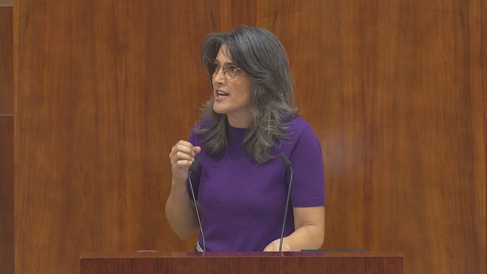 La portavoz de Más Madrid en la Asamblea, Manuela Bergerot