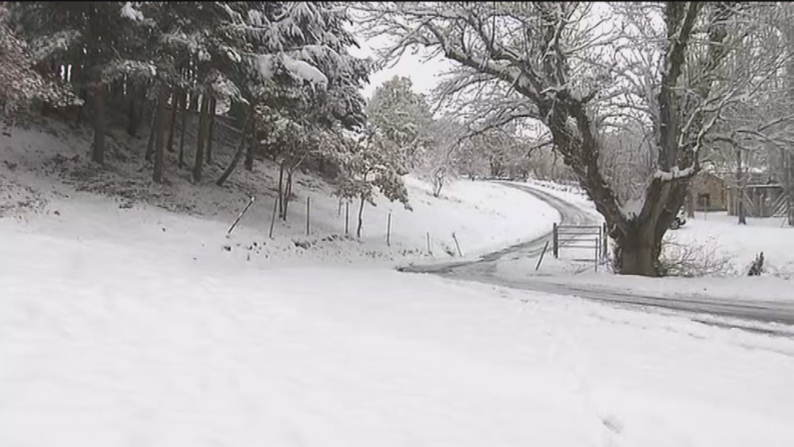 Nieve en la Sierra de Madrid