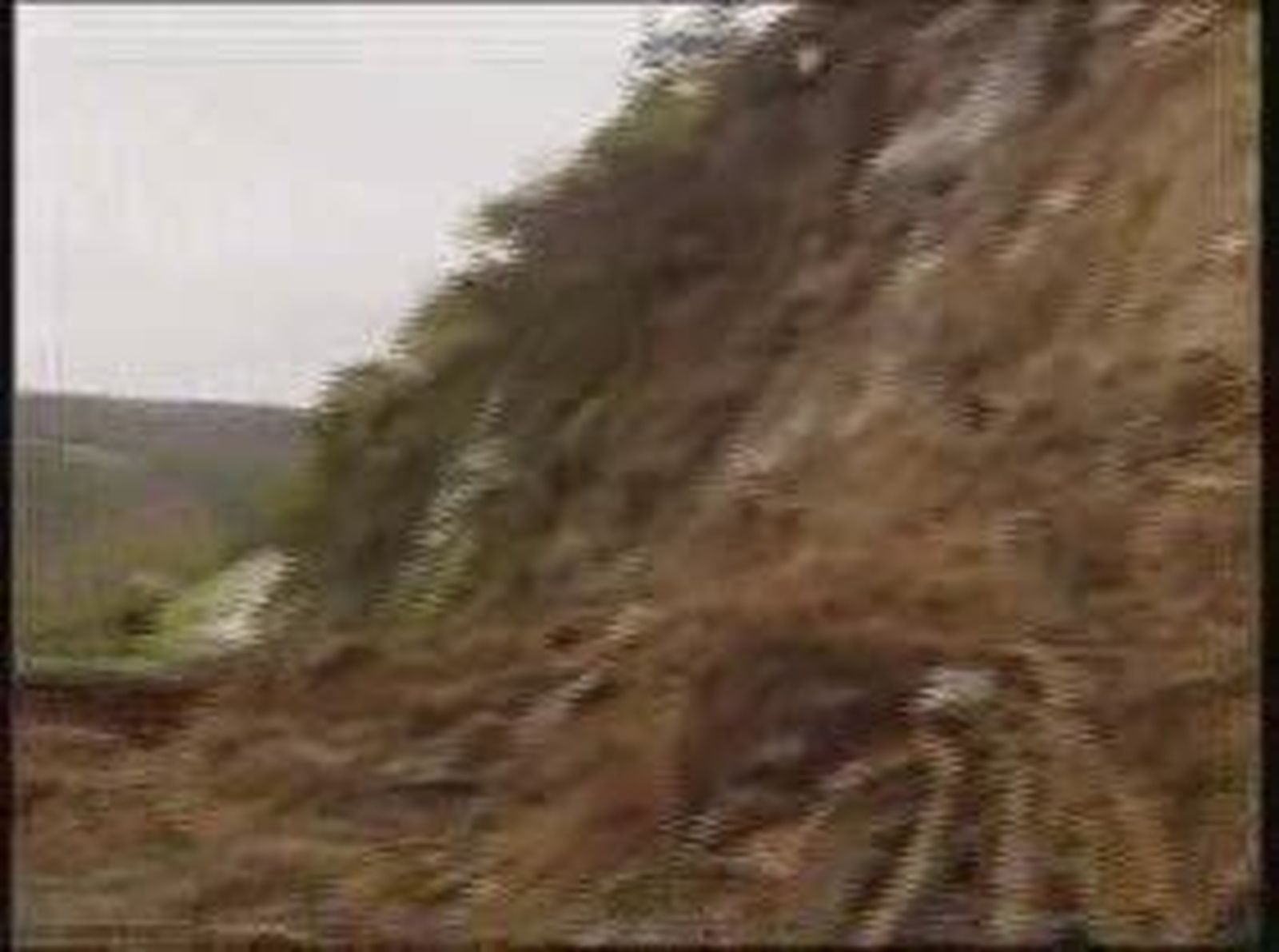 temporal_201117V0.wmv