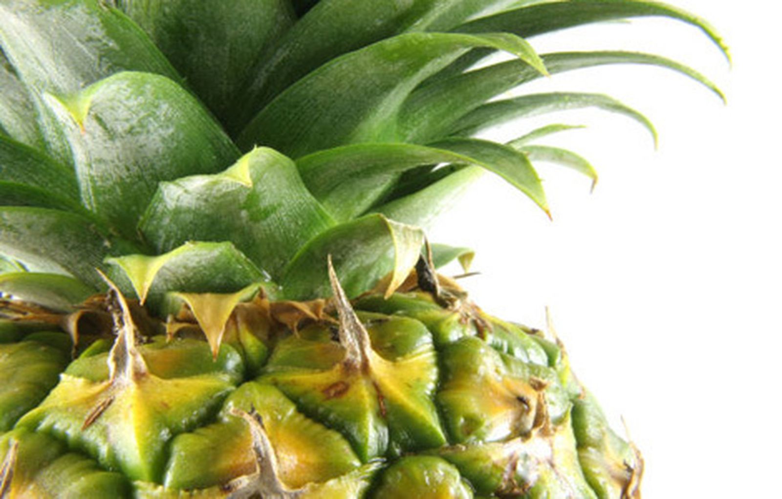pina_fruta_colada